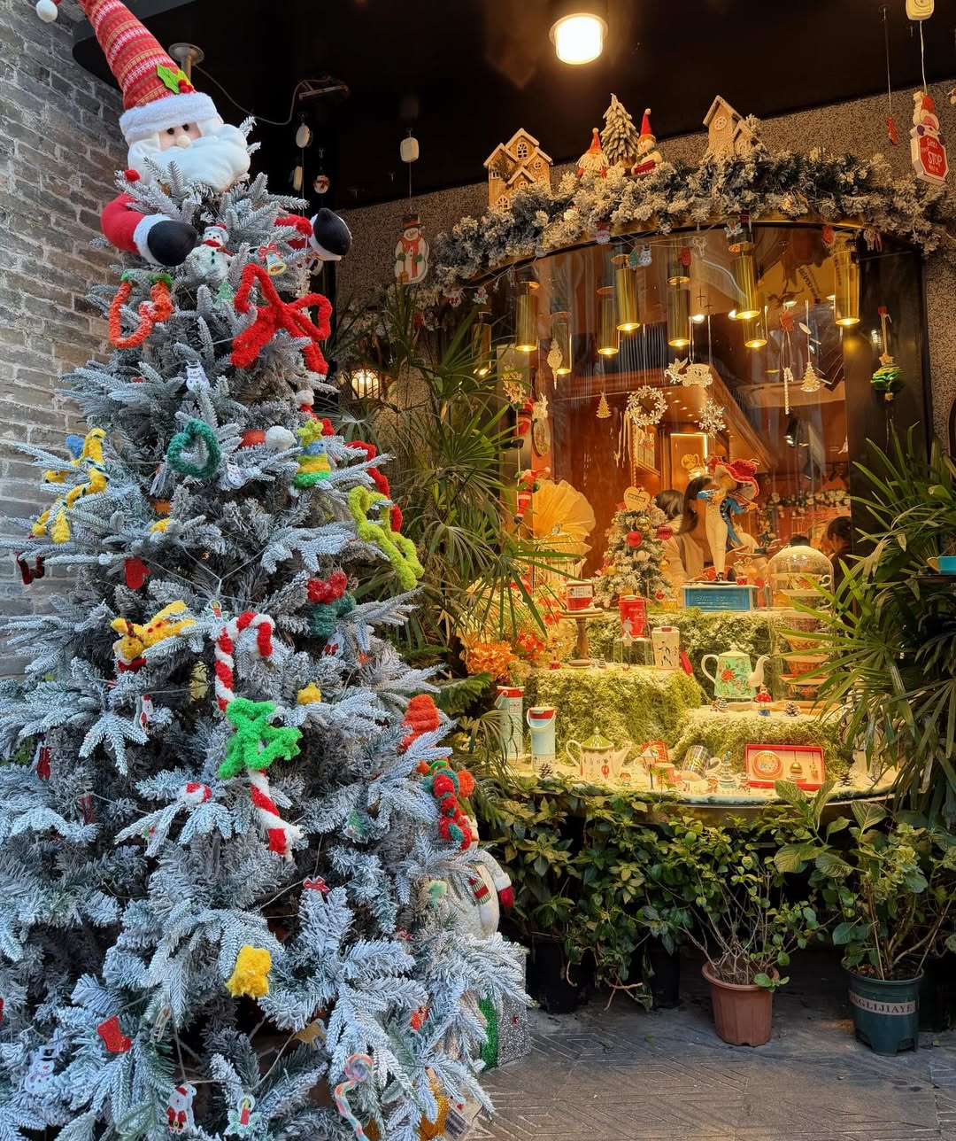 จูเนียร์ - กรวิชญ์ สูงกิจบูลย์