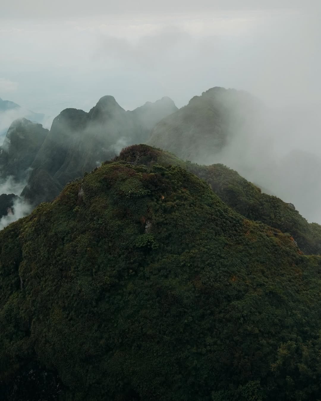 จูเนียร์ - กรวิชญ์ สูงกิจบูลย์