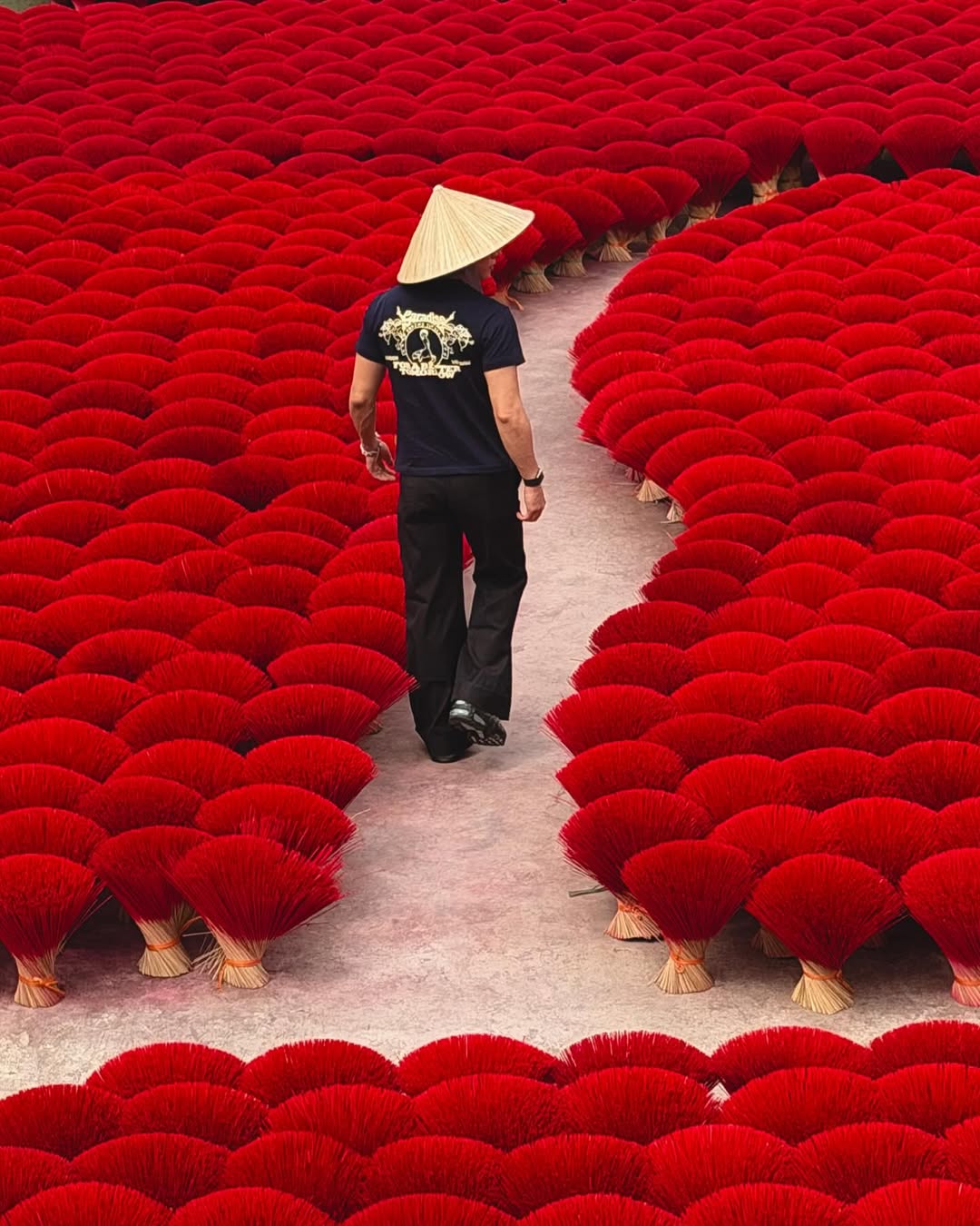 จูเนียร์ - กรวิชญ์ สูงกิจบูลย์