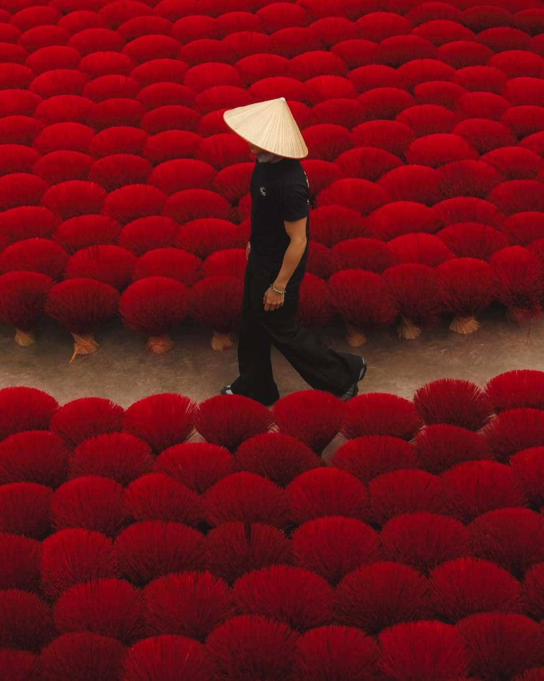 จูเนียร์ - กรวิชญ์ สูงกิจบูลย์