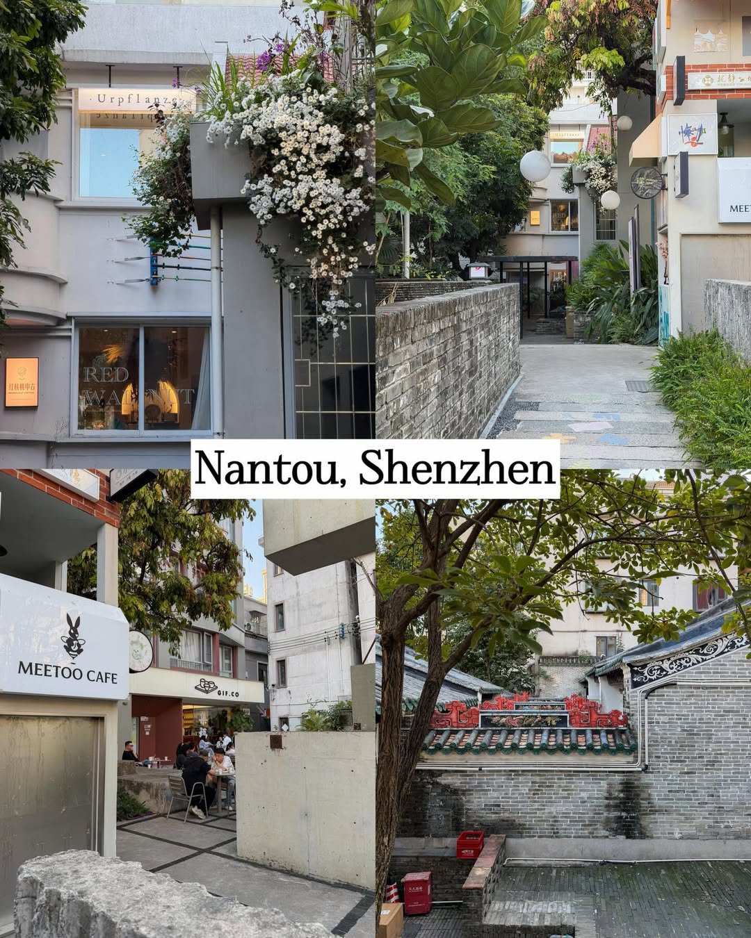 จูเนียร์ - กรวิชญ์ สูงกิจบูลย์