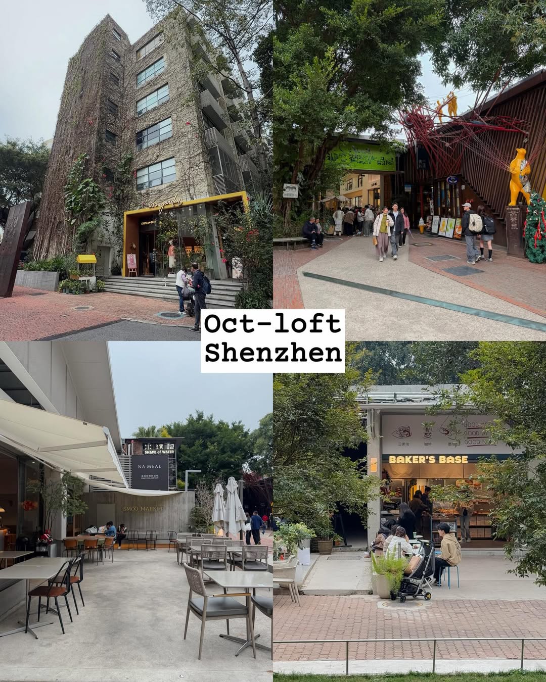 จูเนียร์ - กรวิชญ์ สูงกิจบูลย์