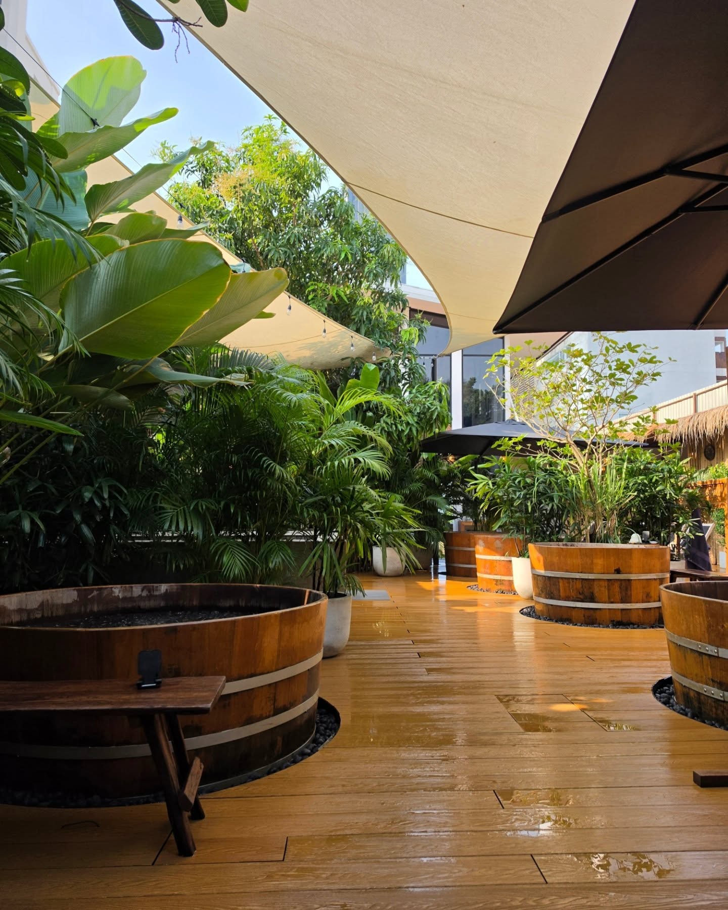 จูเนียร์ - กรวิชญ์ สูงกิจบูลย์