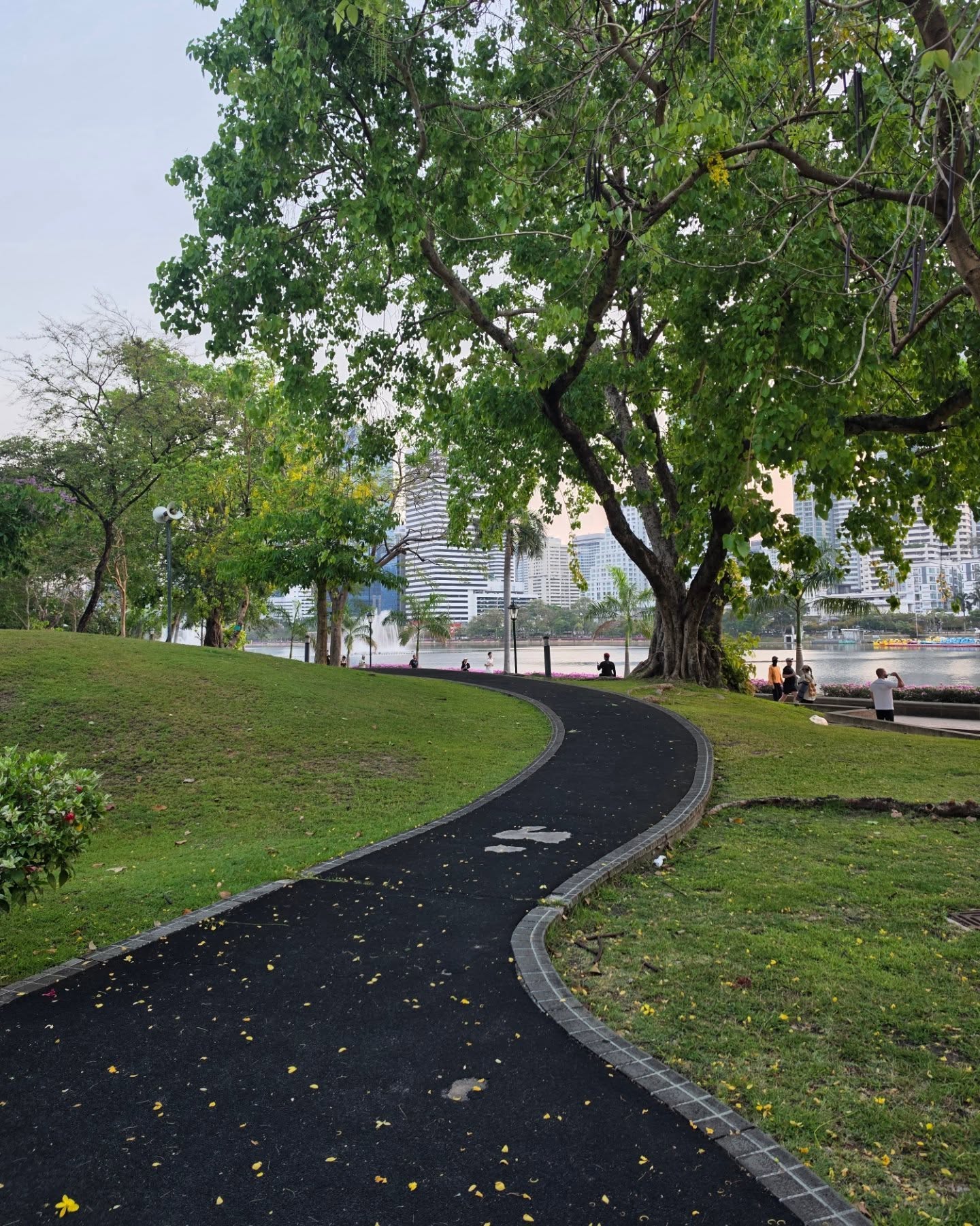 จูเนียร์ - กรวิชญ์ สูงกิจบูลย์