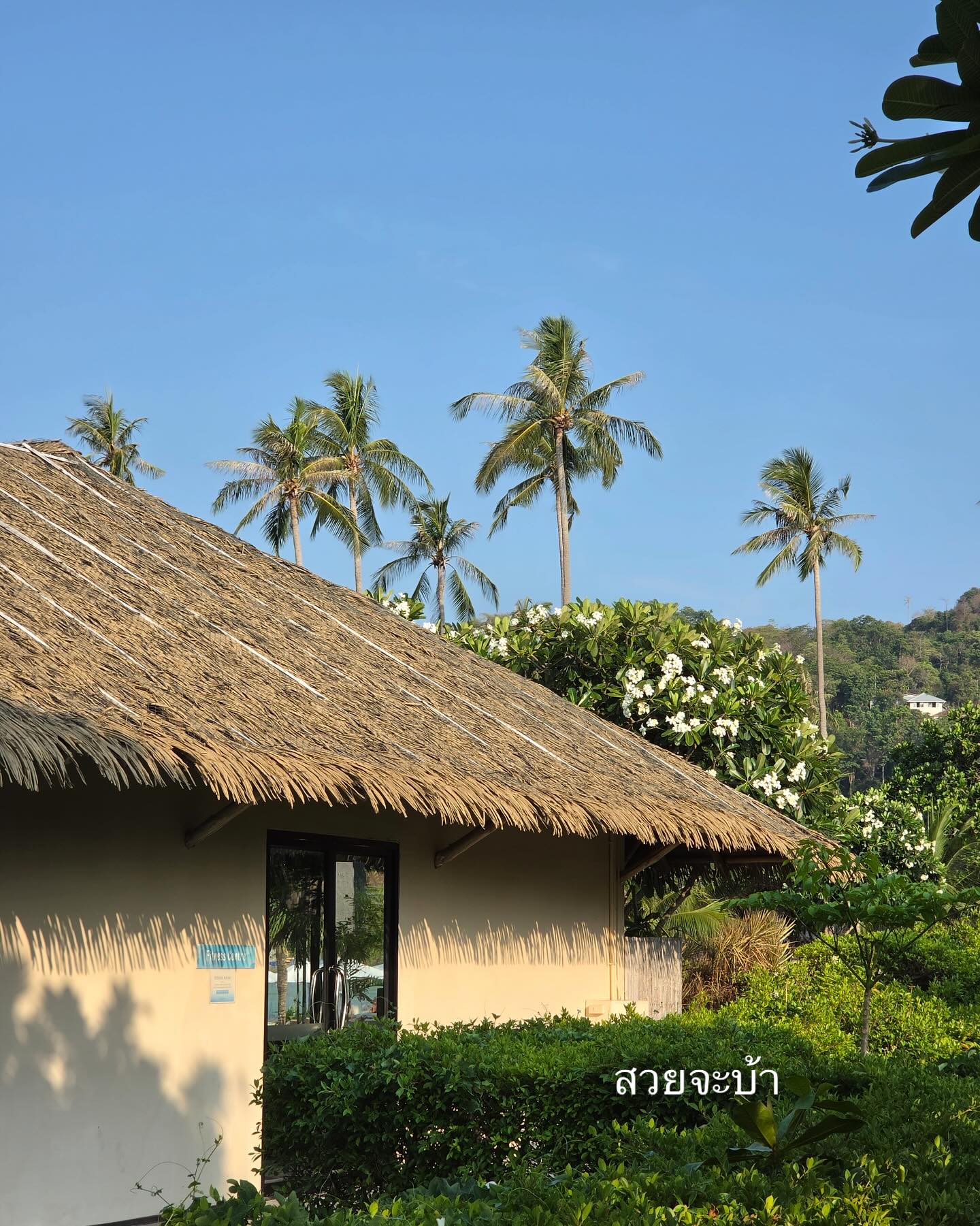จูเนียร์ - กรวิชญ์ สูงกิจบูลย์