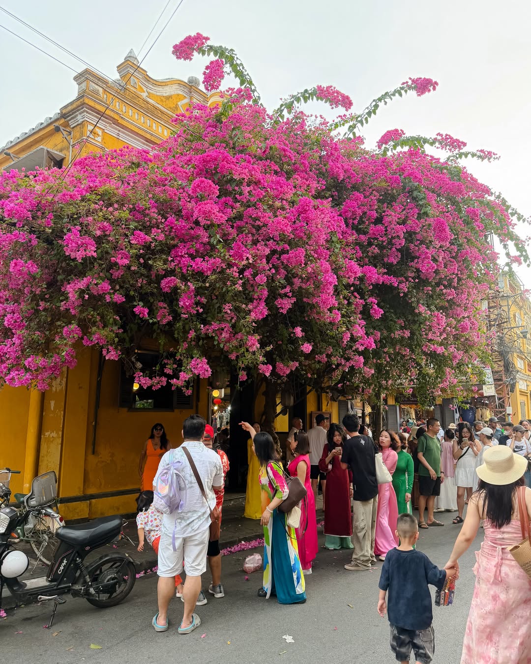 จูเนียร์ - กรวิชญ์ สูงกิจบูลย์