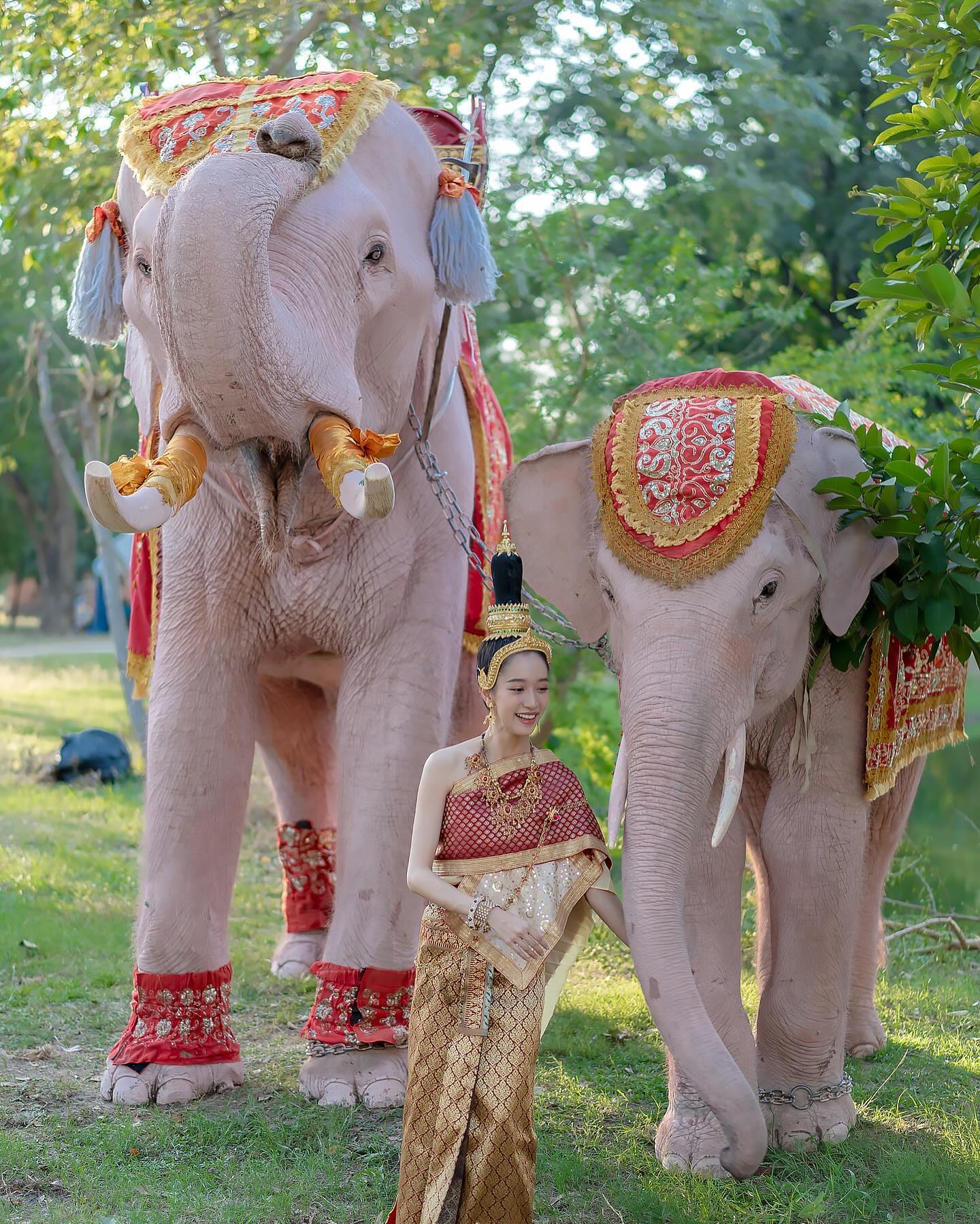 ชิงชิง - คริษฐา สังสะโอภาส