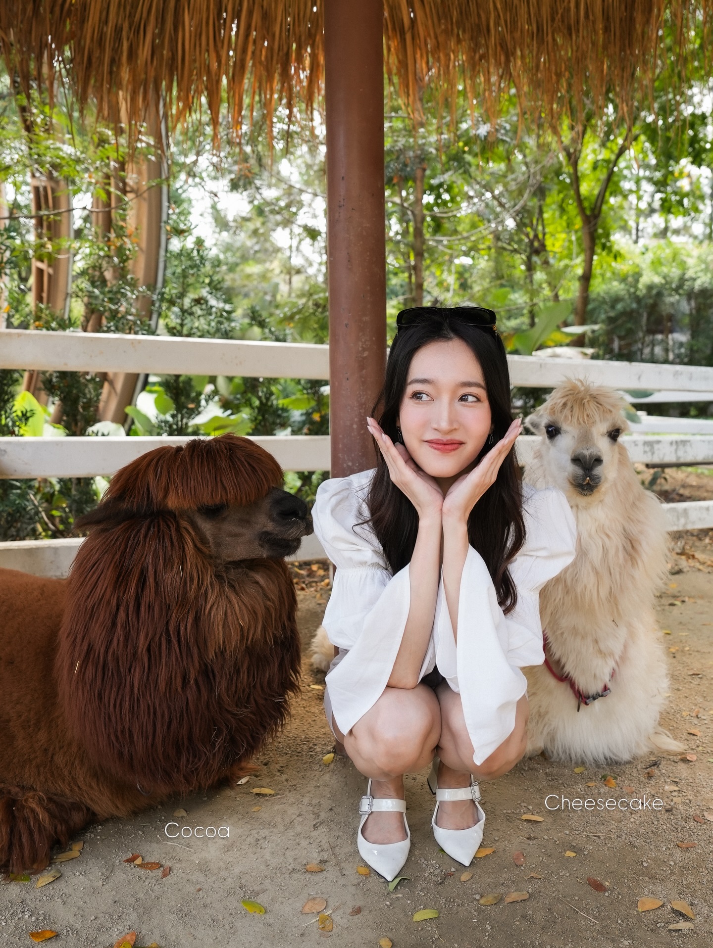 ชิงชิง - คริษฐา สังสะโอภาส