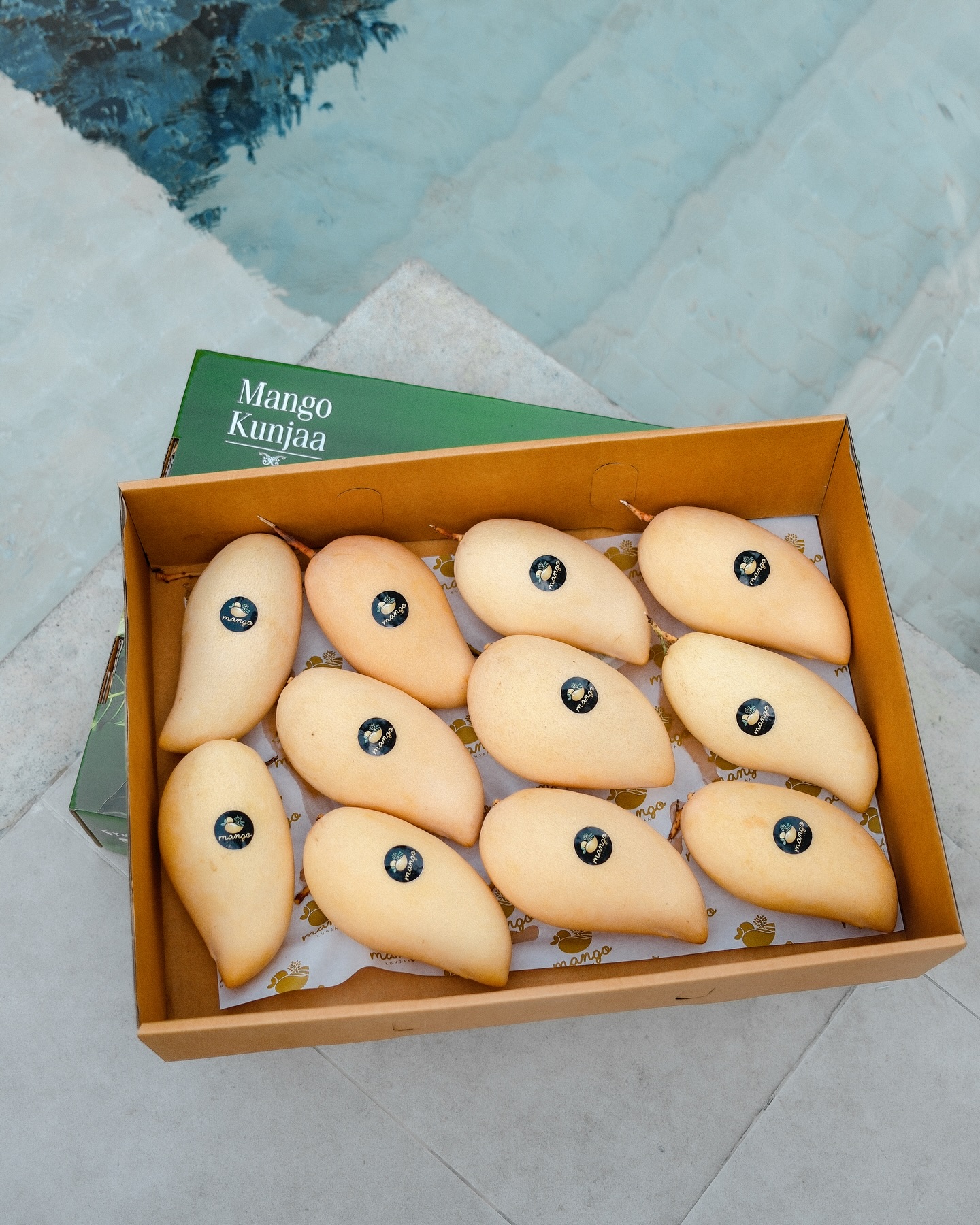 ชิงชิง - คริษฐา สังสะโอภาส