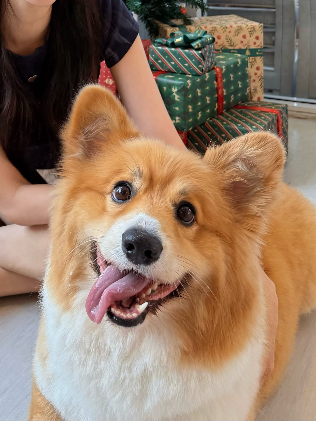 ชิงชิง - คริษฐา สังสะโอภาส