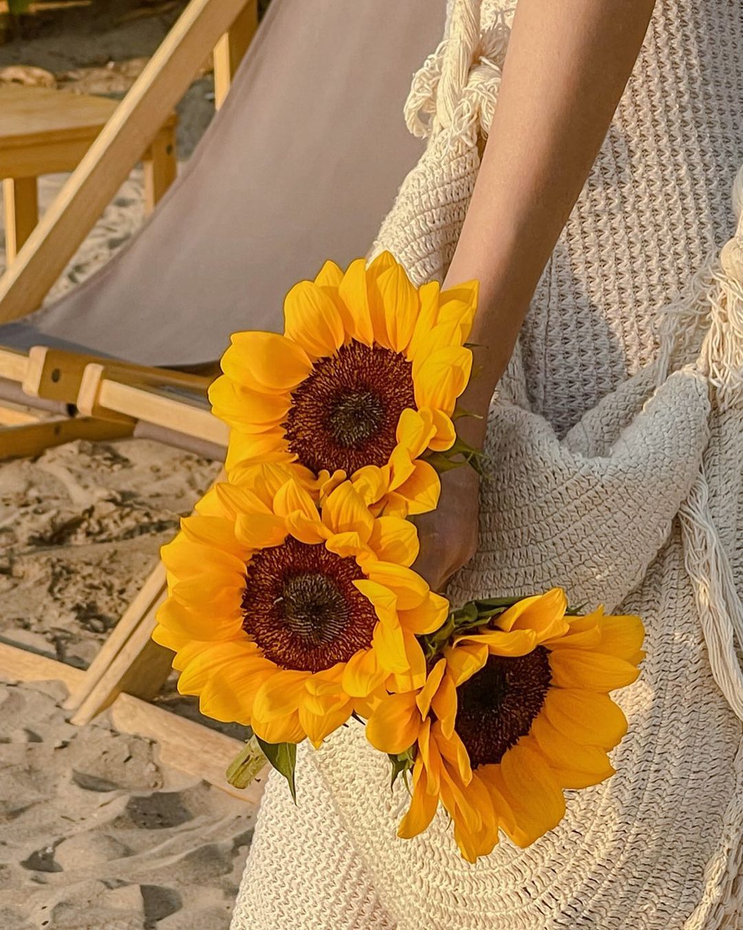 มิ้งค์ - ยูมิโกะ สุชิยะ