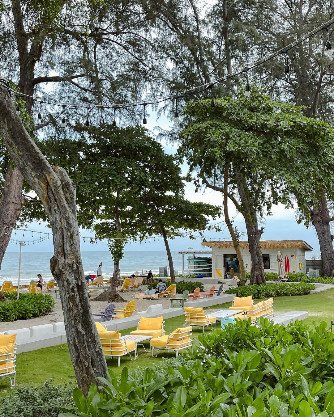 มิ้งค์ - ยูมิโกะ สุชิยะ