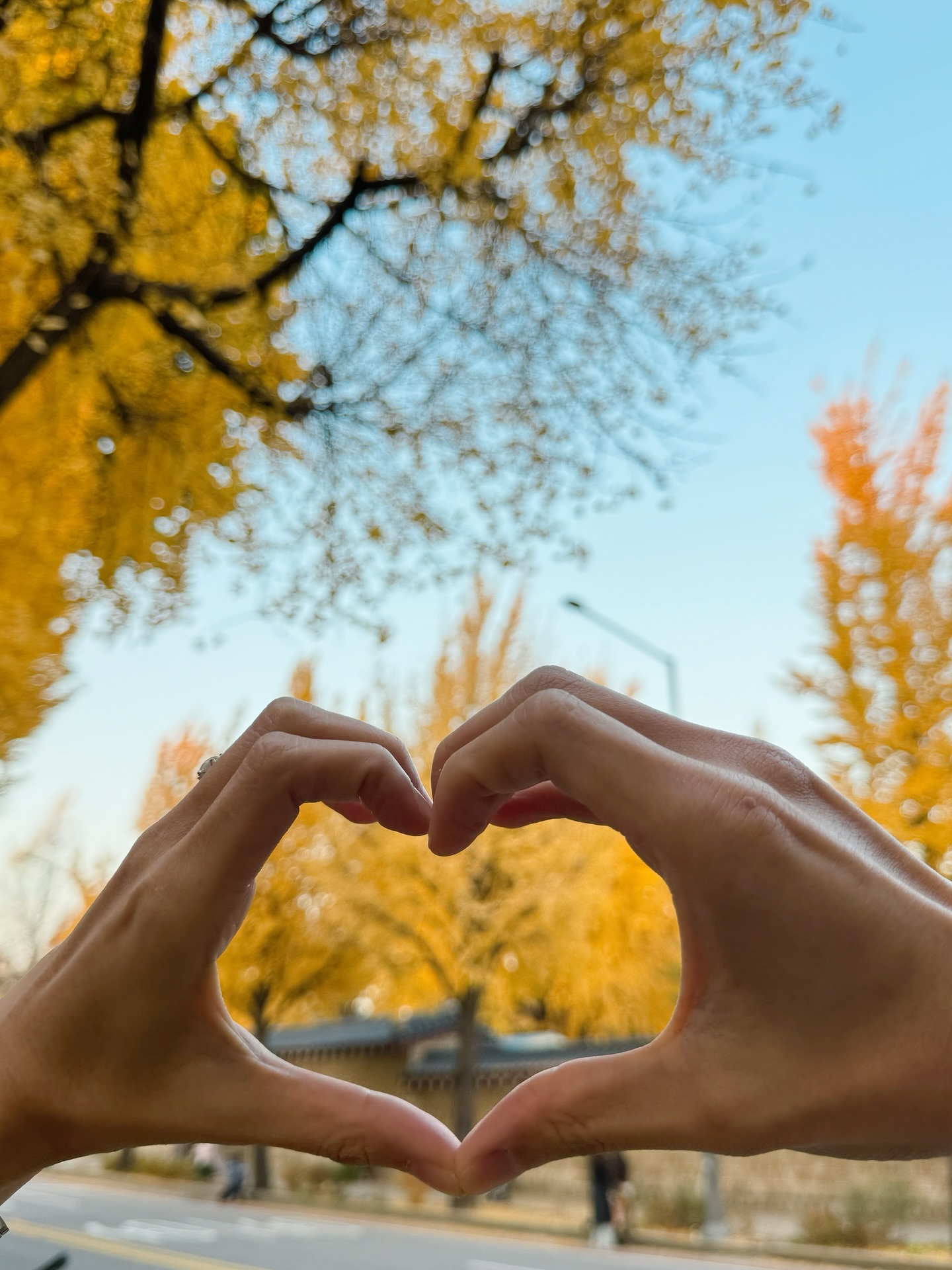 มิ้งค์ - ยูมิโกะ สุชิยะ