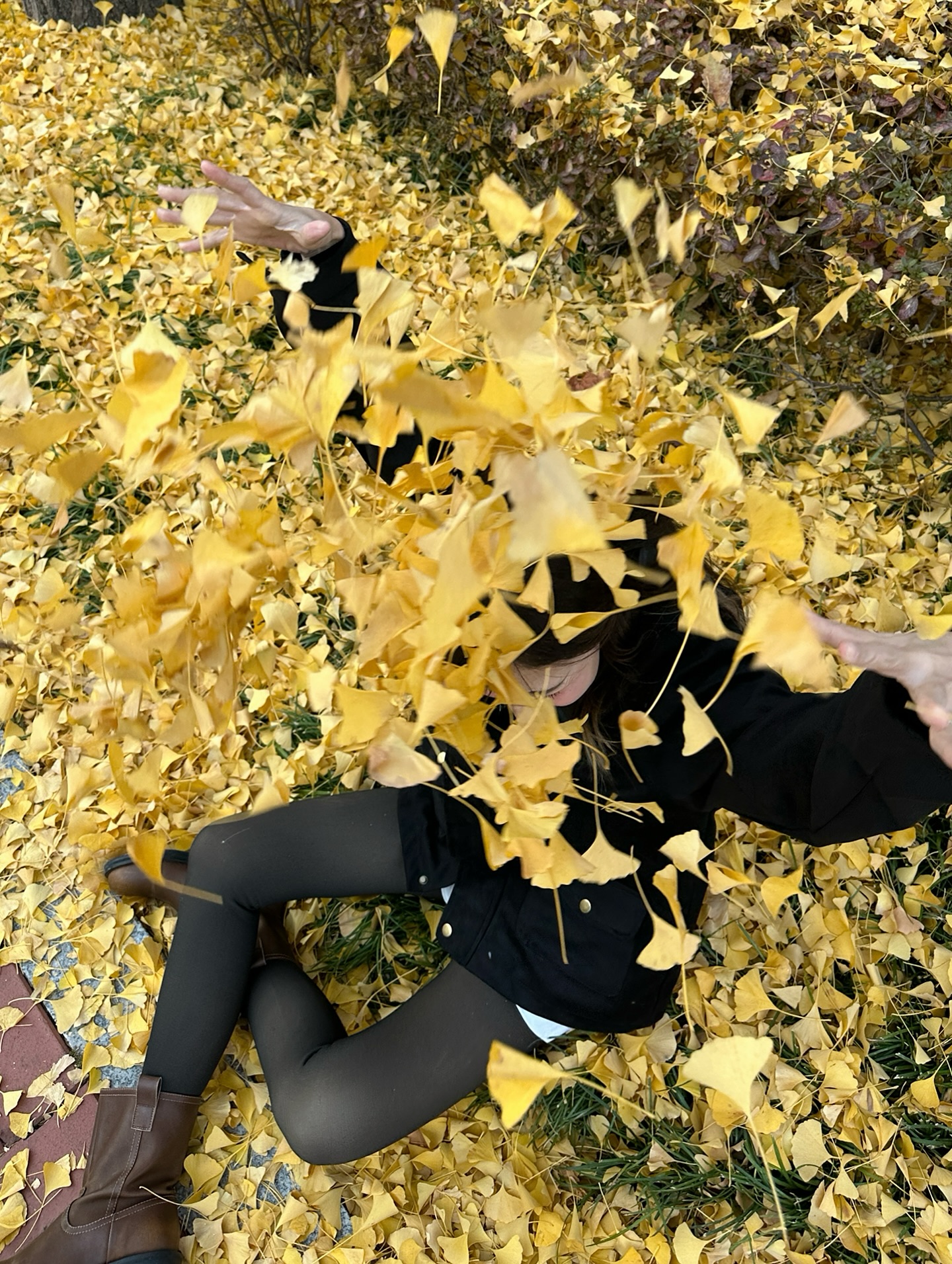 มิ้งค์ - ยูมิโกะ สุชิยะ