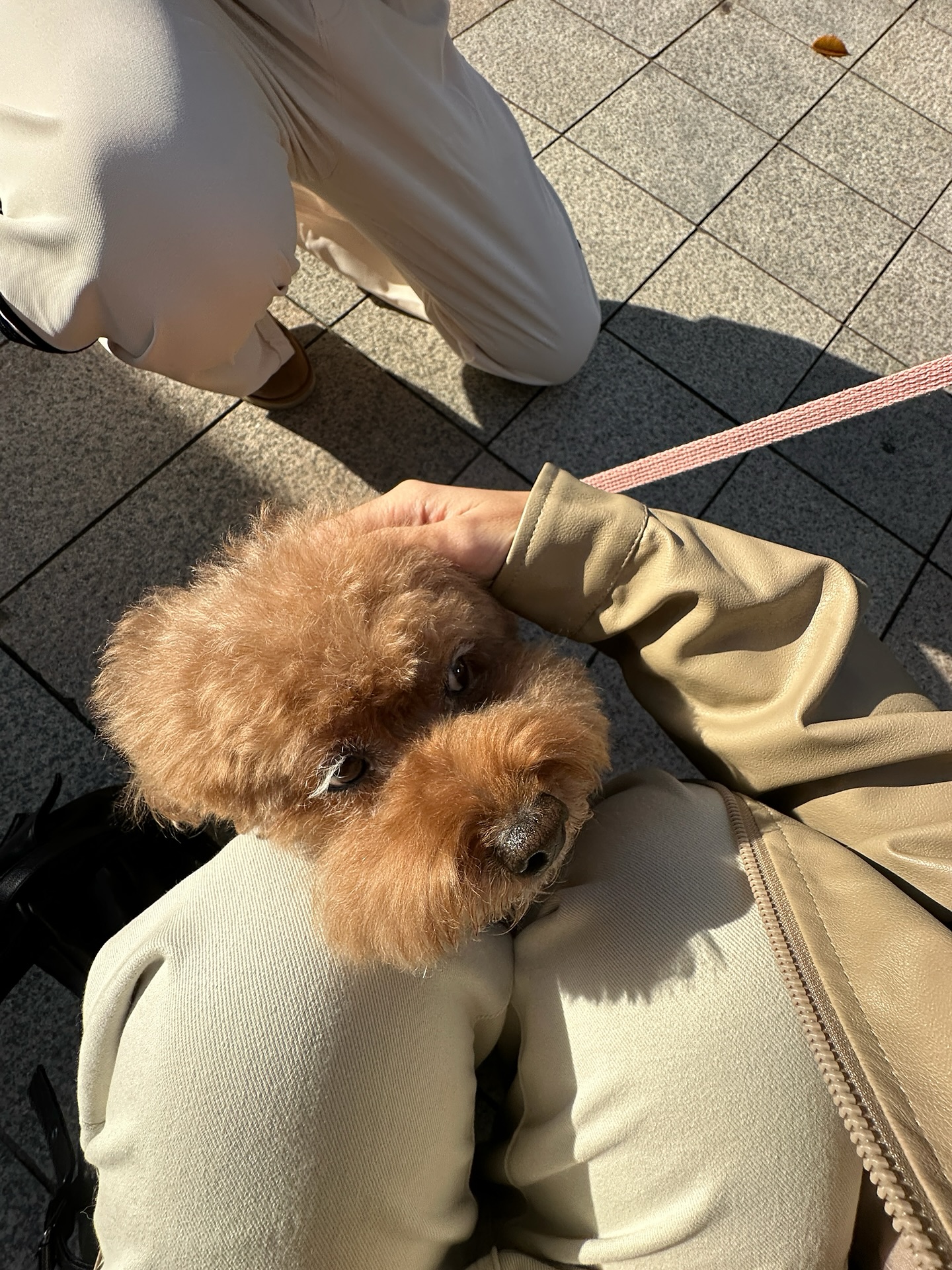 มิ้งค์ - ยูมิโกะ สุชิยะ