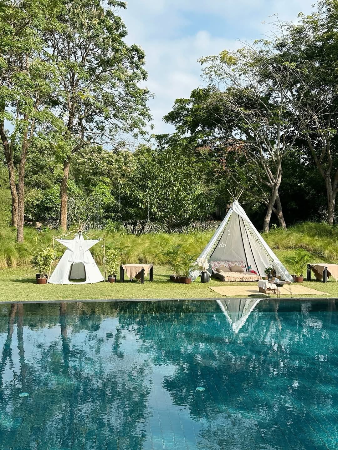 มิ้งค์ - ยูมิโกะ สุชิยะ