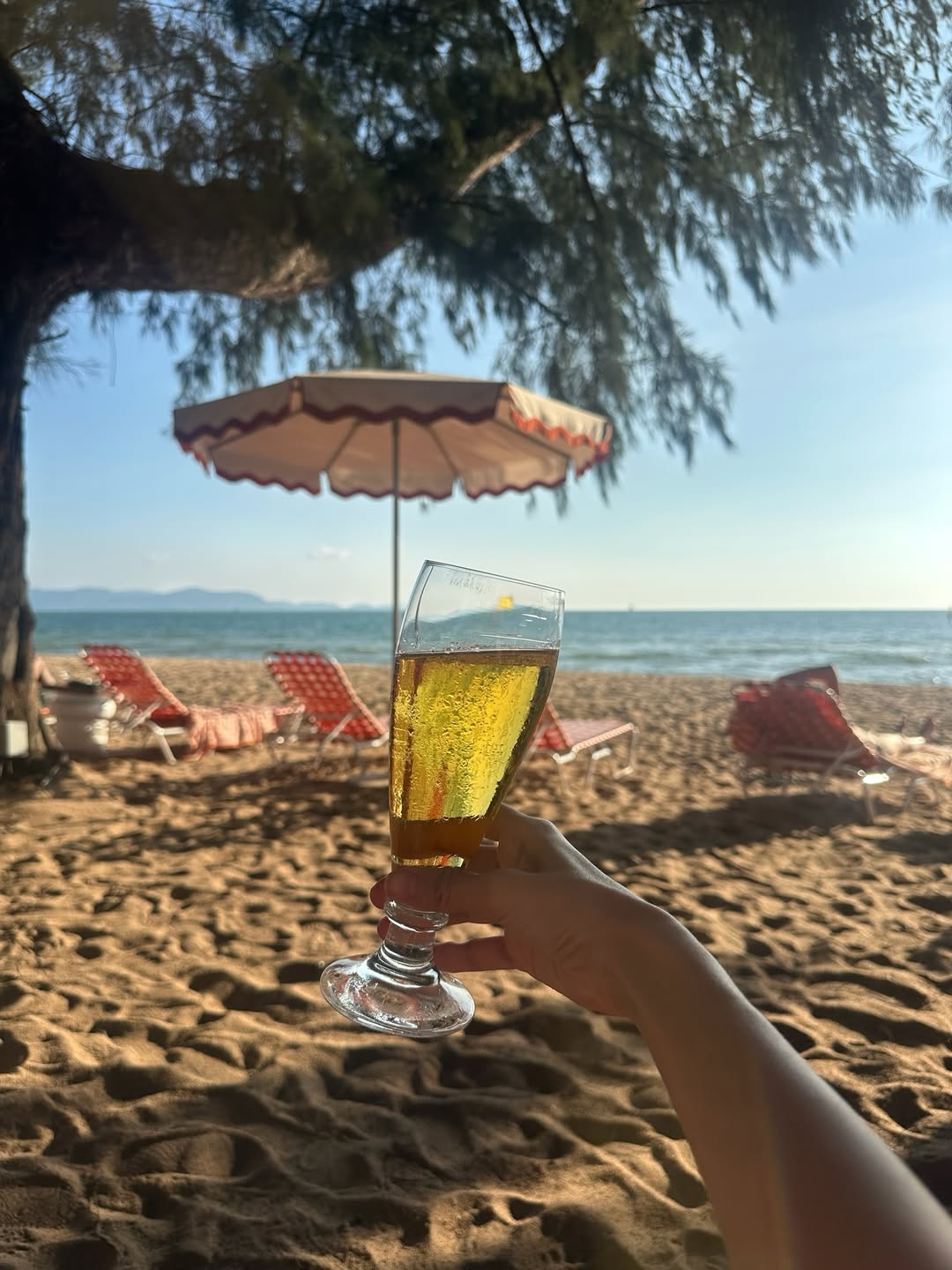 มิ้งค์ - ยูมิโกะ สุชิยะ