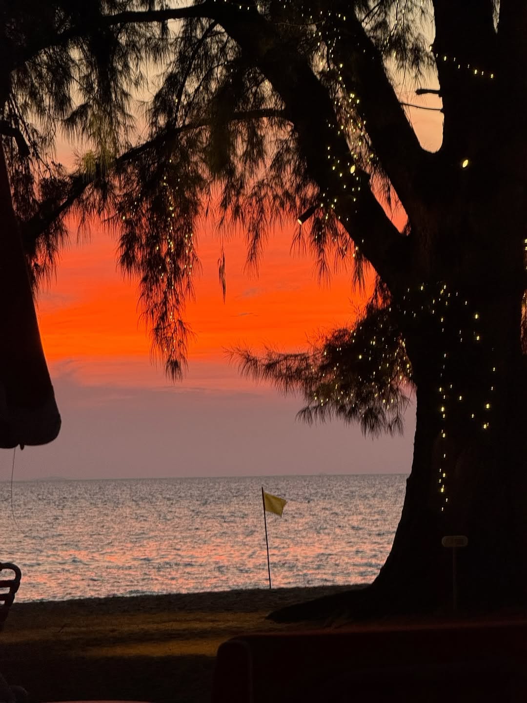 มิ้งค์ - ยูมิโกะ สุชิยะ