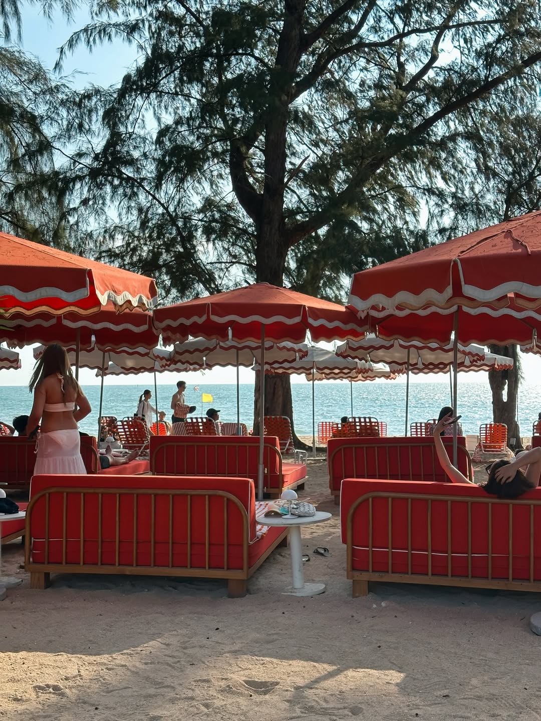 มิ้งค์ - ยูมิโกะ สุชิยะ