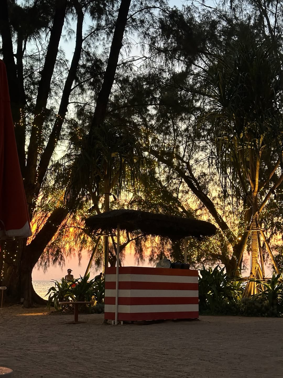 มิ้งค์ - ยูมิโกะ สุชิยะ