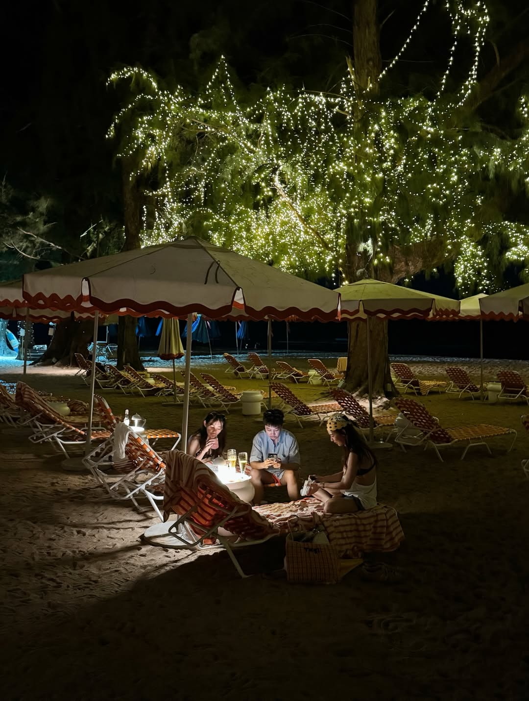 มิ้งค์ - ยูมิโกะ สุชิยะ