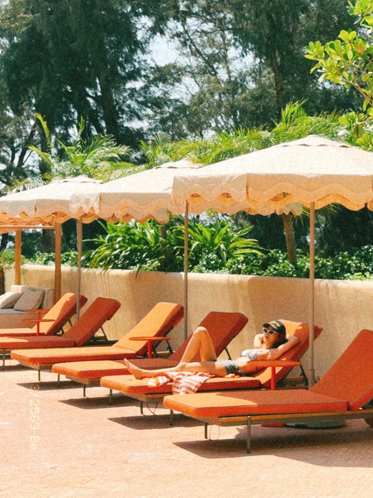 มิ้งค์ - ยูมิโกะ สุชิยะ