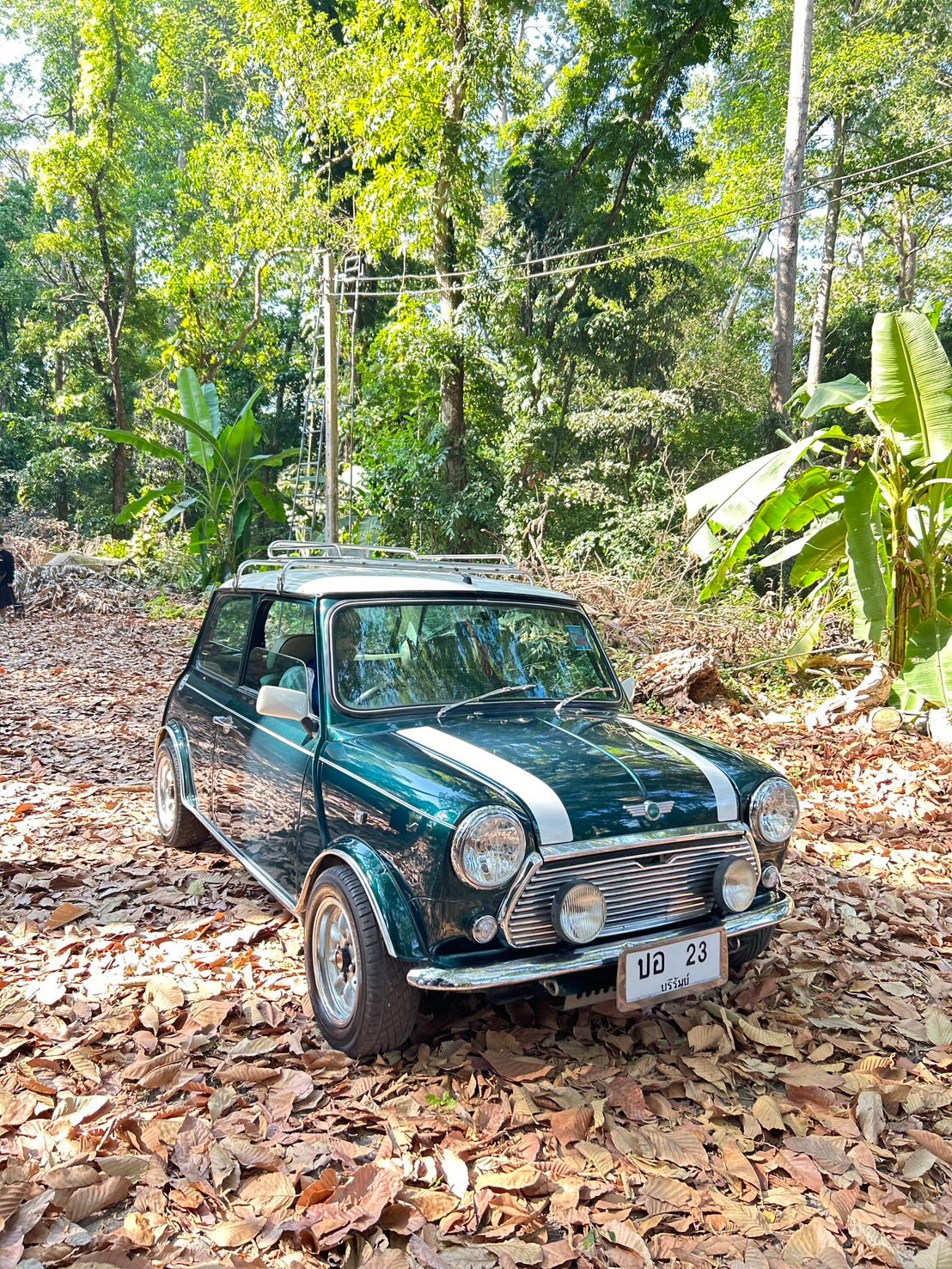 โบว์ - แวนดา สหวงษ์