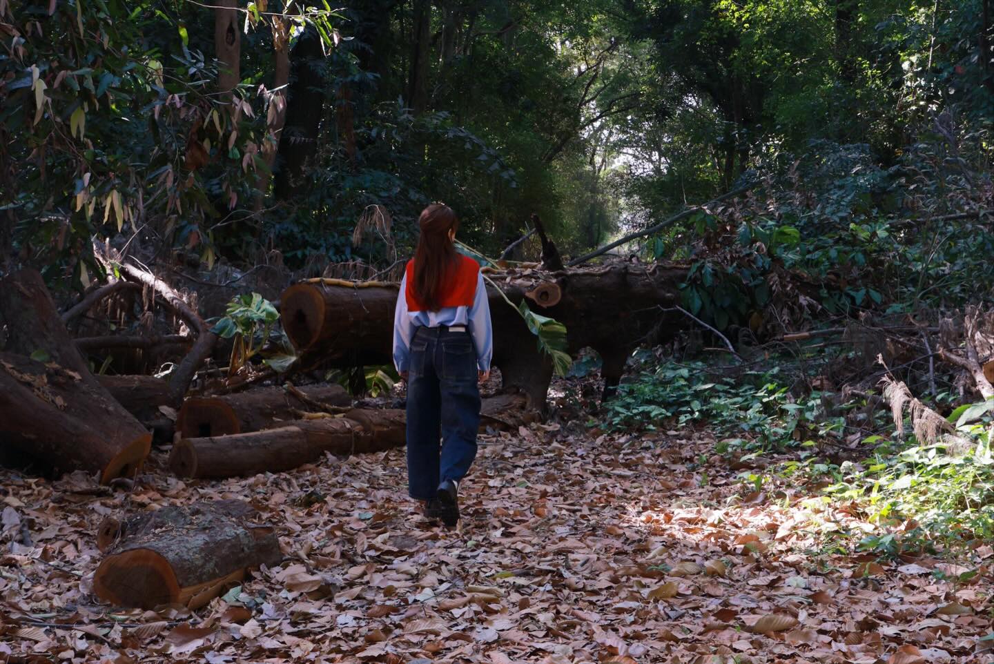 โบว์ - แวนดา สหวงษ์