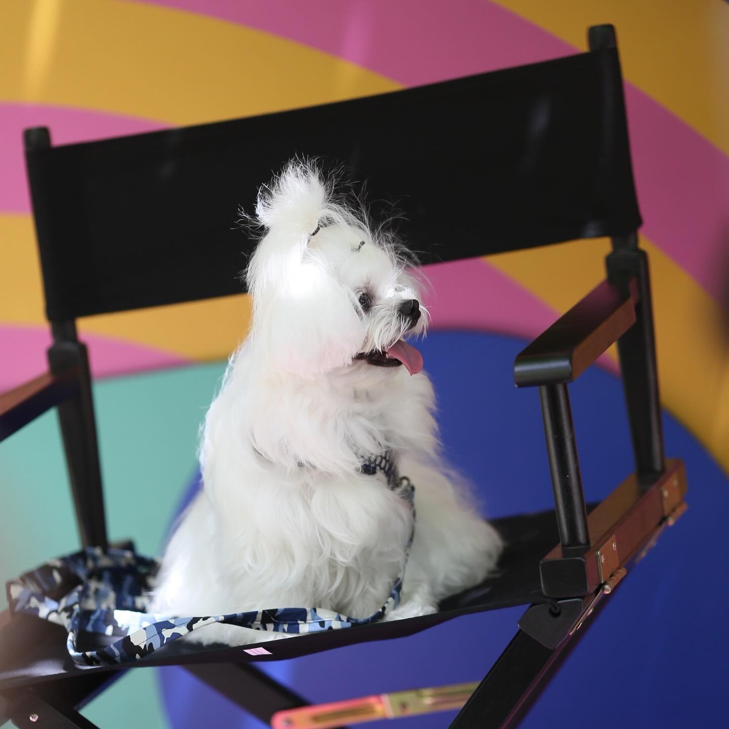 โบว์ - แวนดา สหวงษ์