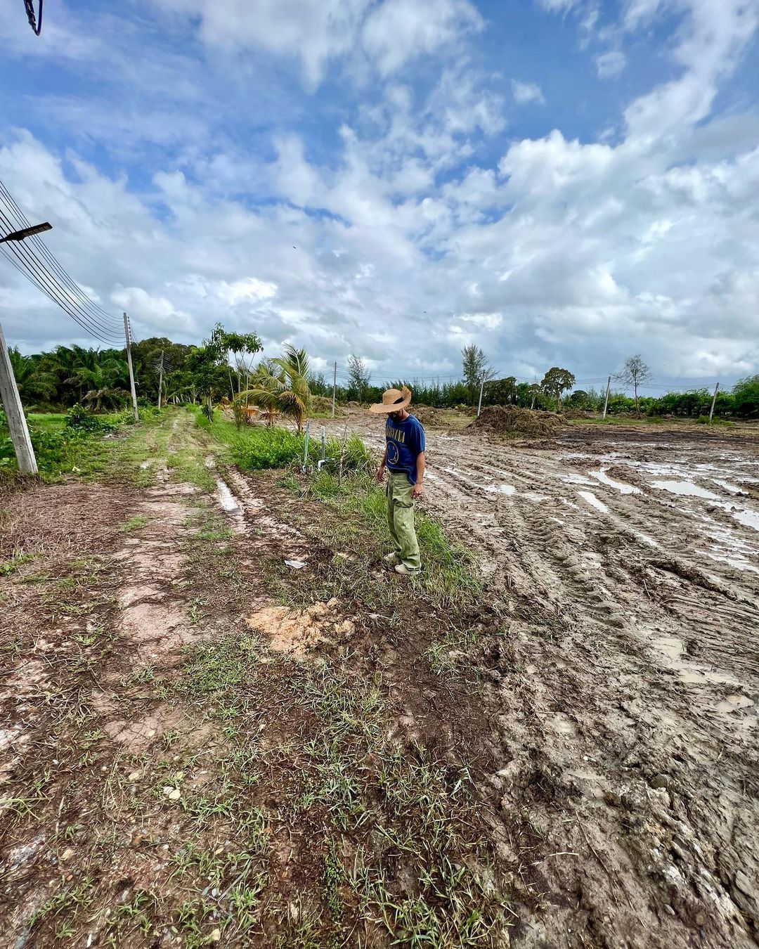 เติ้ล - ธนพล นิ่มทัยสุข