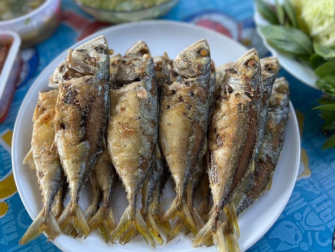 เติ้ล - ธนพล นิ่มทัยสุข