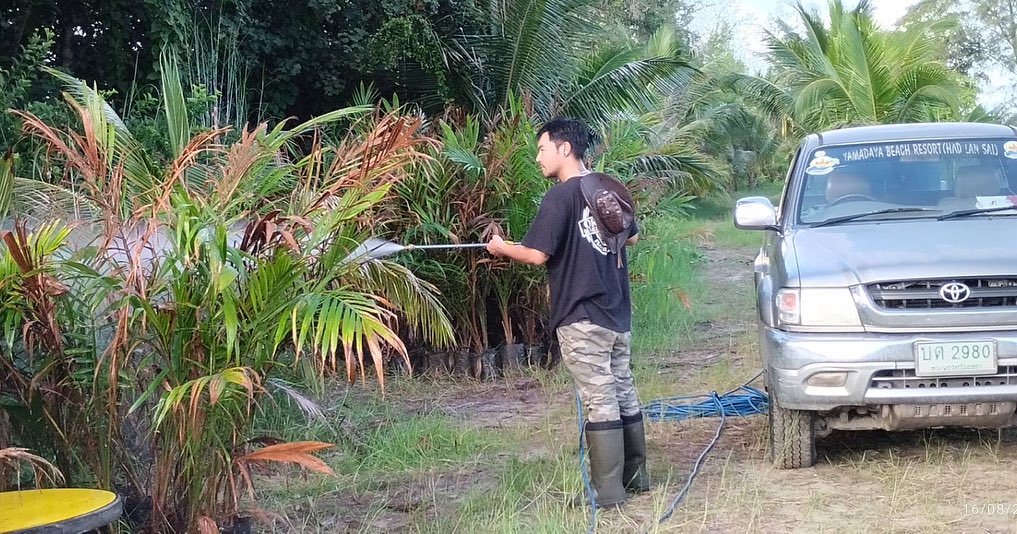 เติ้ล - ธนพล นิ่มทัยสุข
