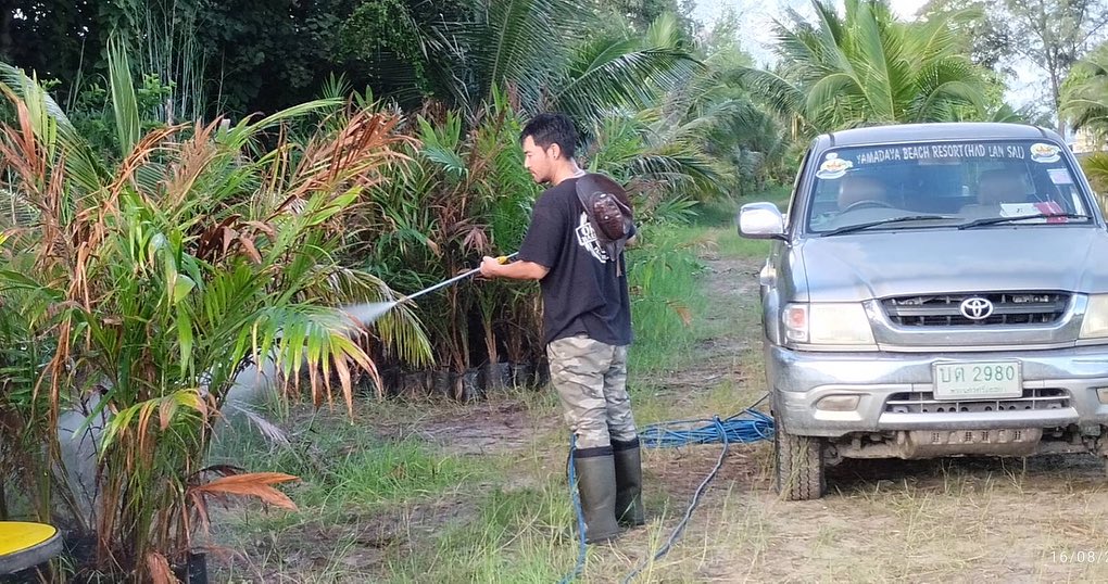 เติ้ล - ธนพล นิ่มทัยสุข