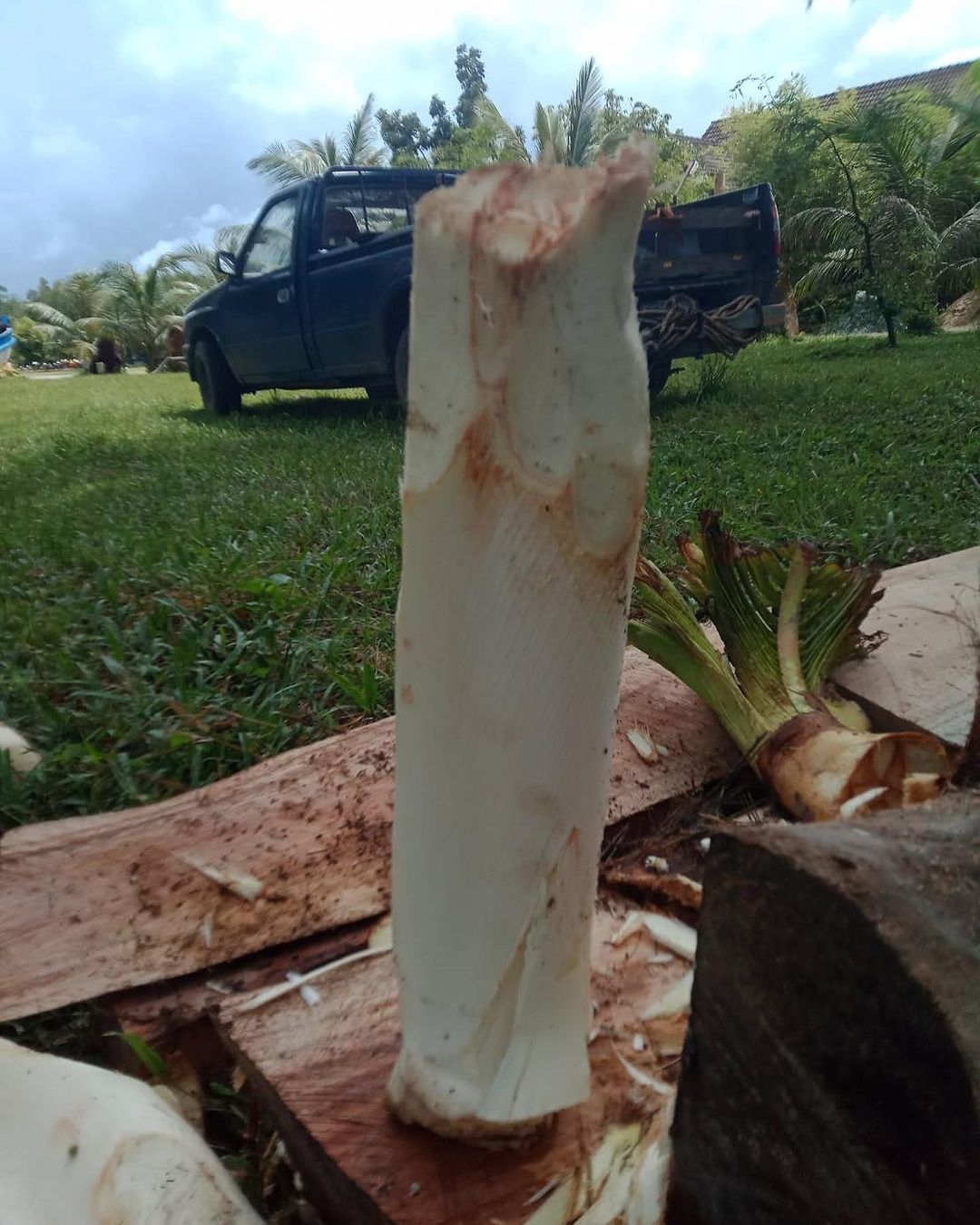 เติ้ล - ธนพล นิ่มทัยสุข