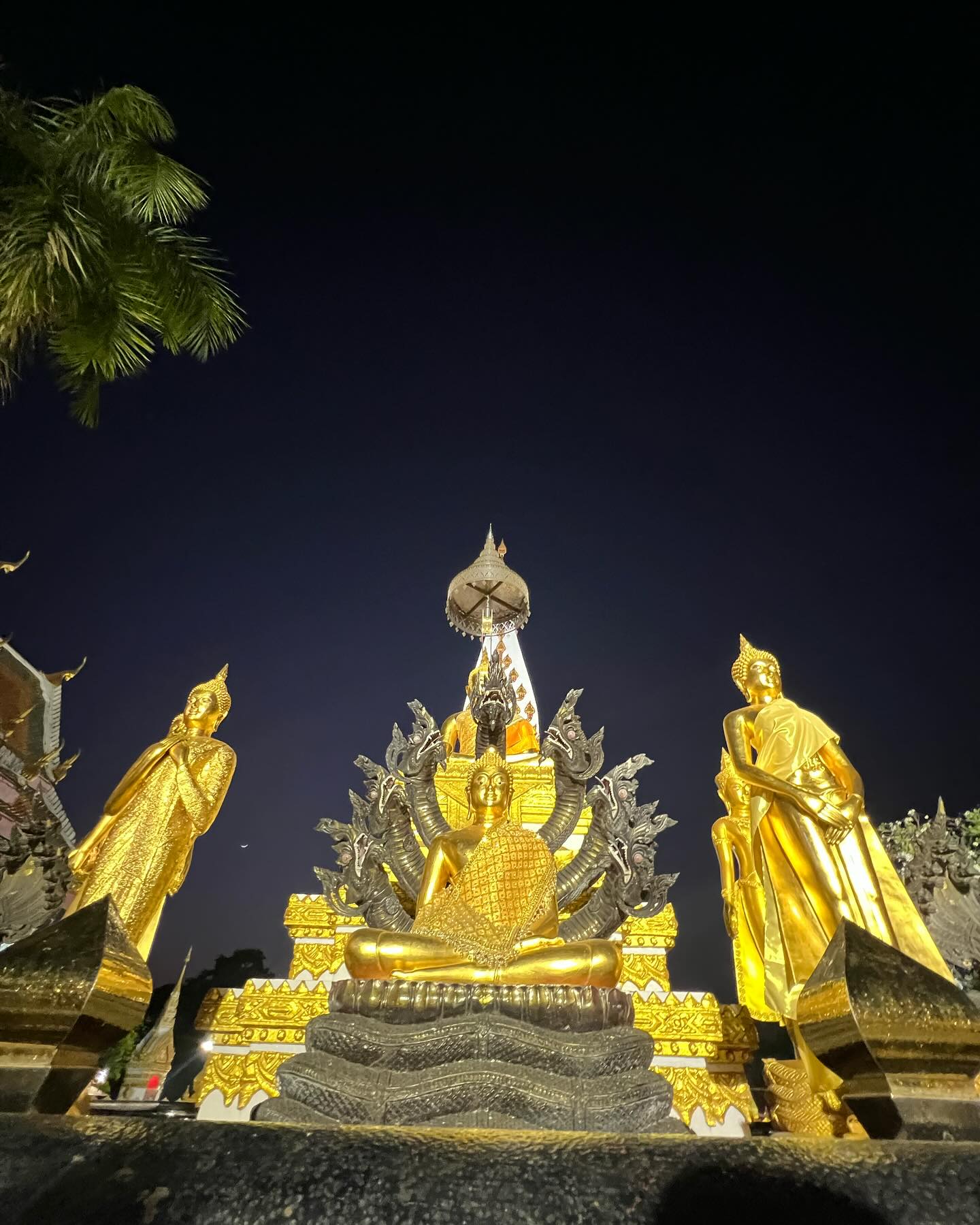 เติ้ล - ธนพล นิ่มทัยสุข