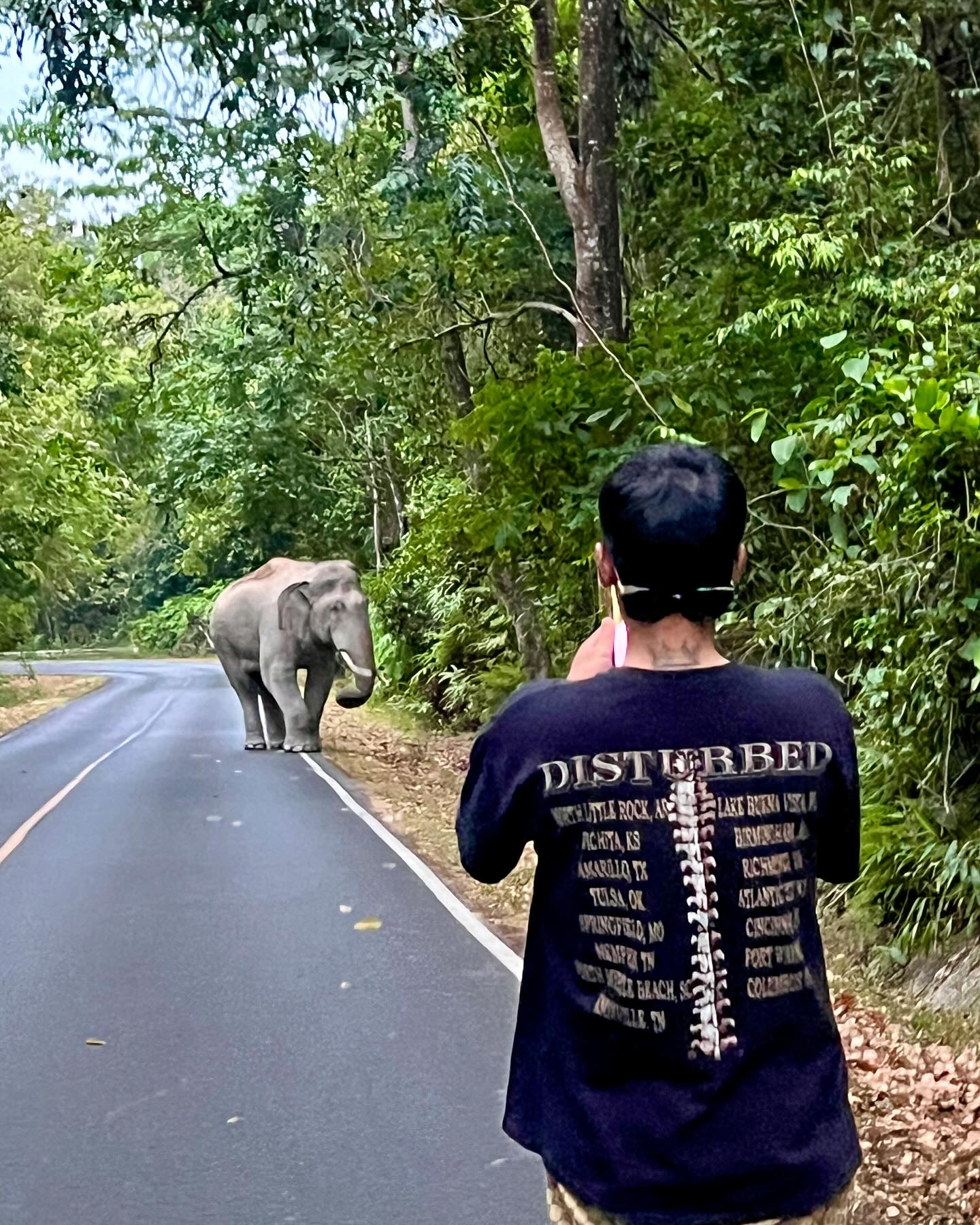 เติ้ล - ธนพล นิ่มทัยสุข