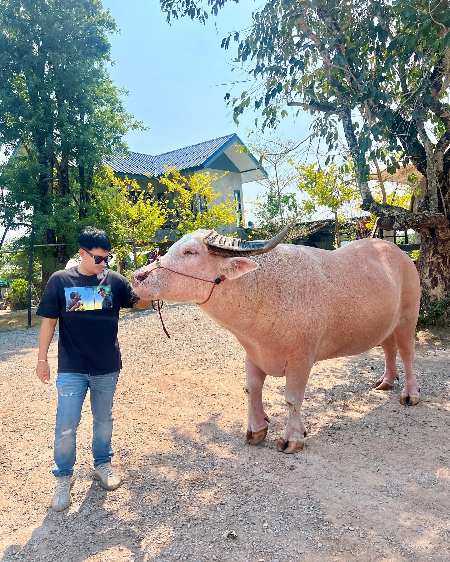 เติ้ล - ธนพล นิ่มทัยสุข