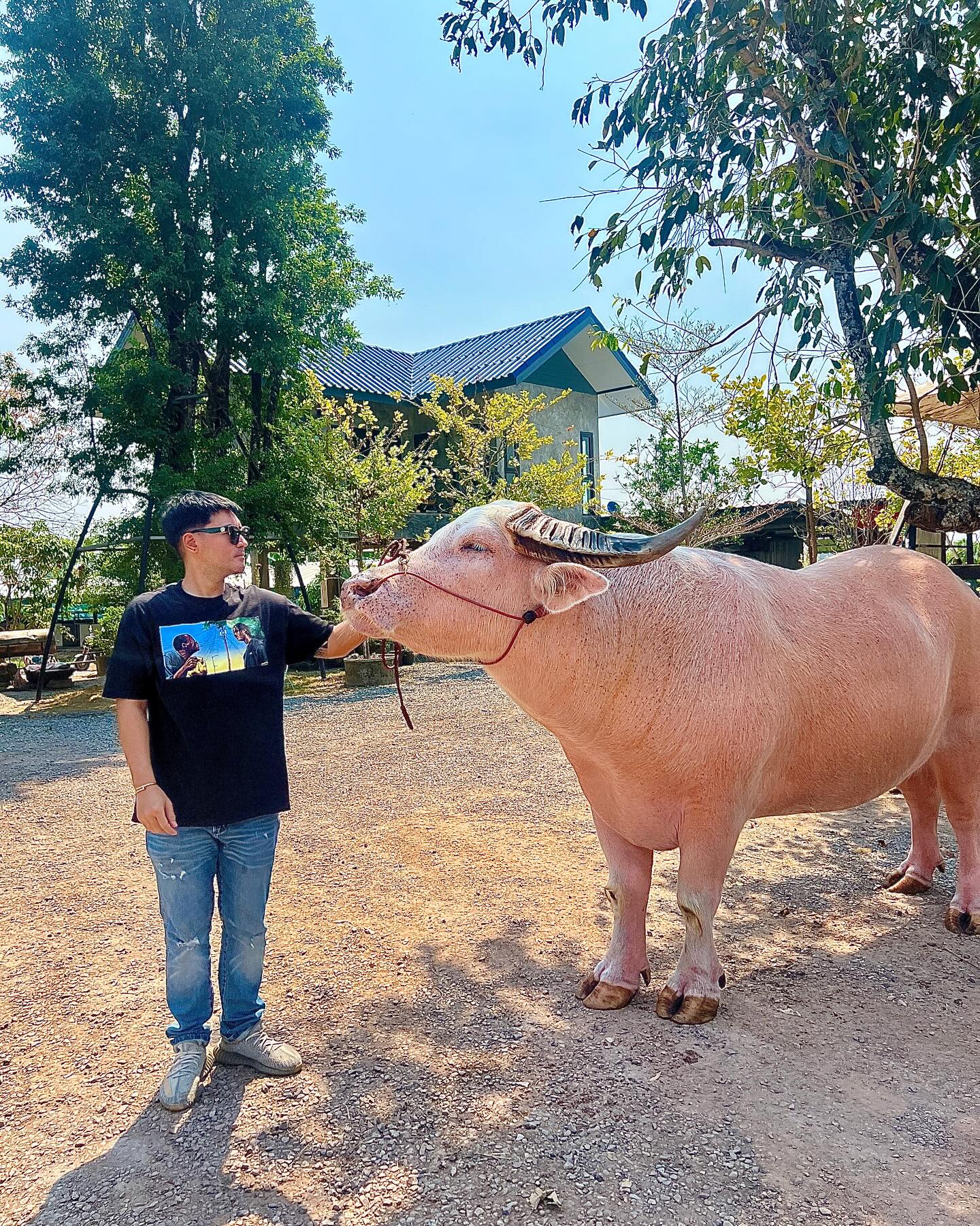 เติ้ล - ธนพล นิ่มทัยสุข