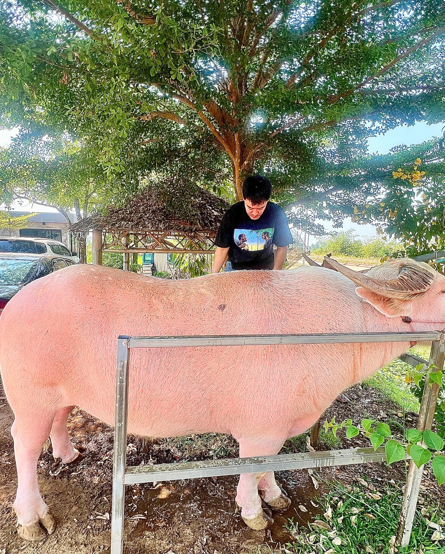 เติ้ล - ธนพล นิ่มทัยสุข
