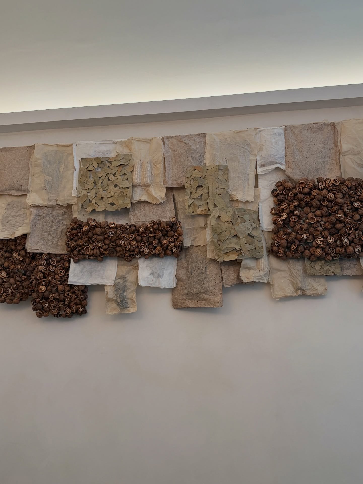 ฟิล์ม - รชานันท์ มหาวรรณ์