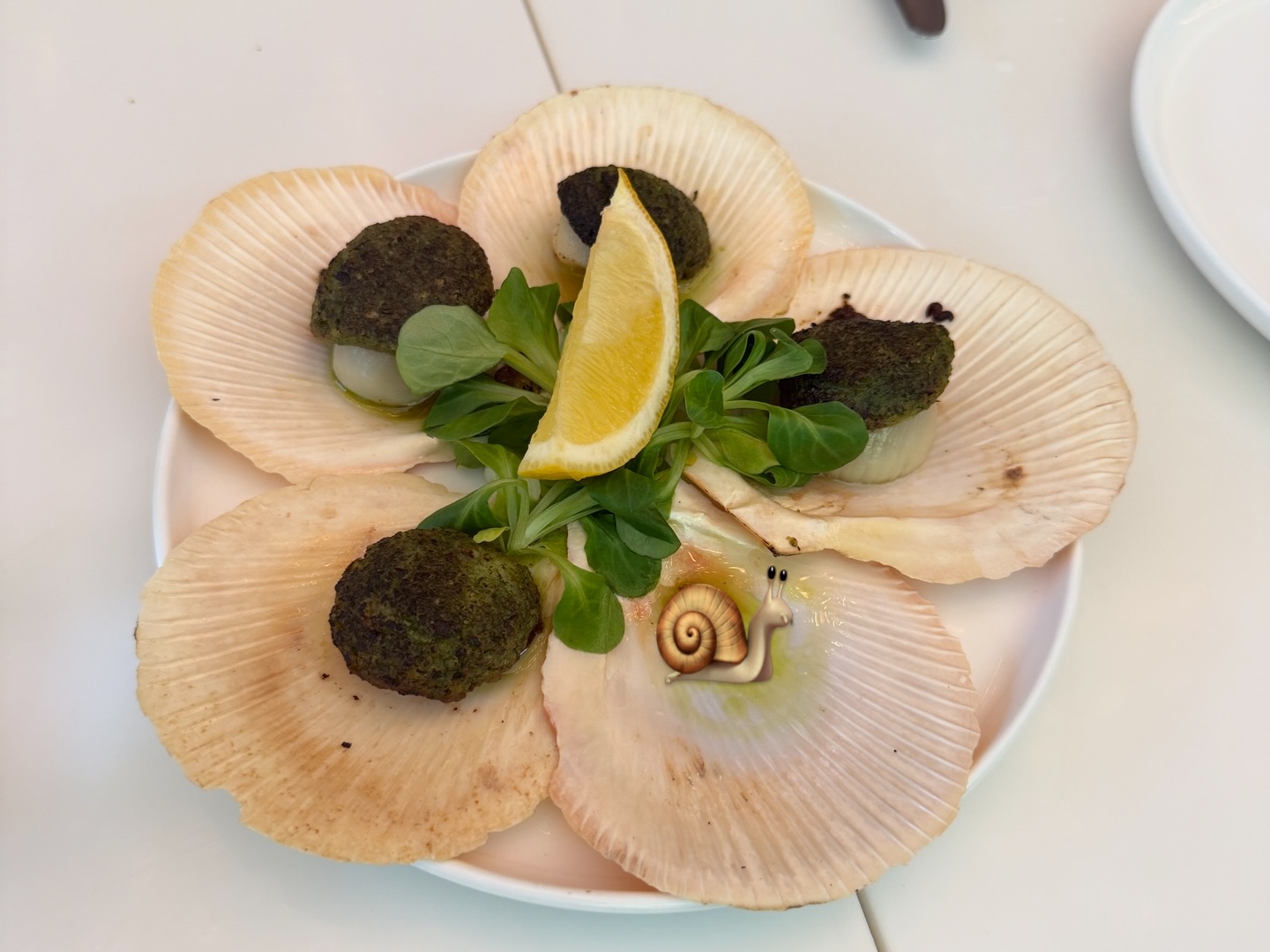 ฟิล์ม - รชานันท์ มหาวรรณ์