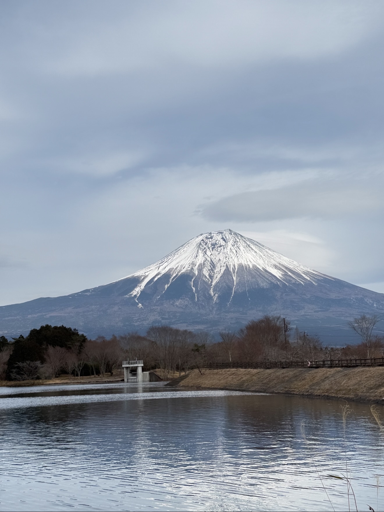 ฟิล์ม - รชานันท์ มหาวรรณ์