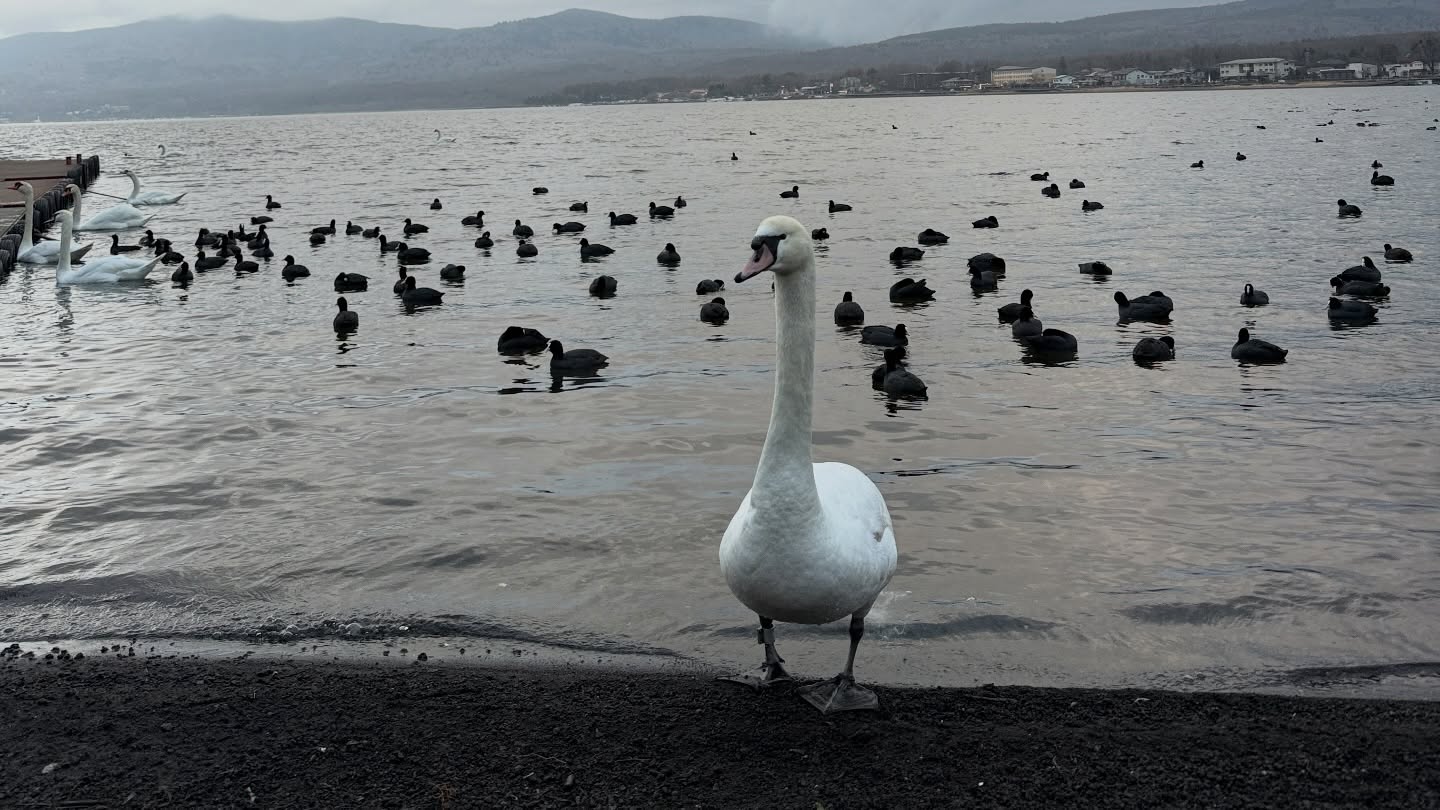 ฟิล์ม - รชานันท์ มหาวรรณ์