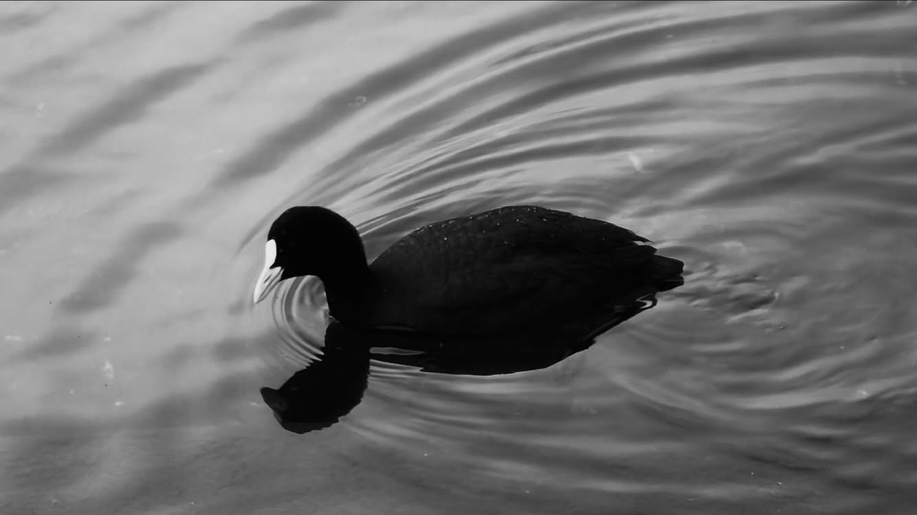 ฟิล์ม - รชานันท์ มหาวรรณ์