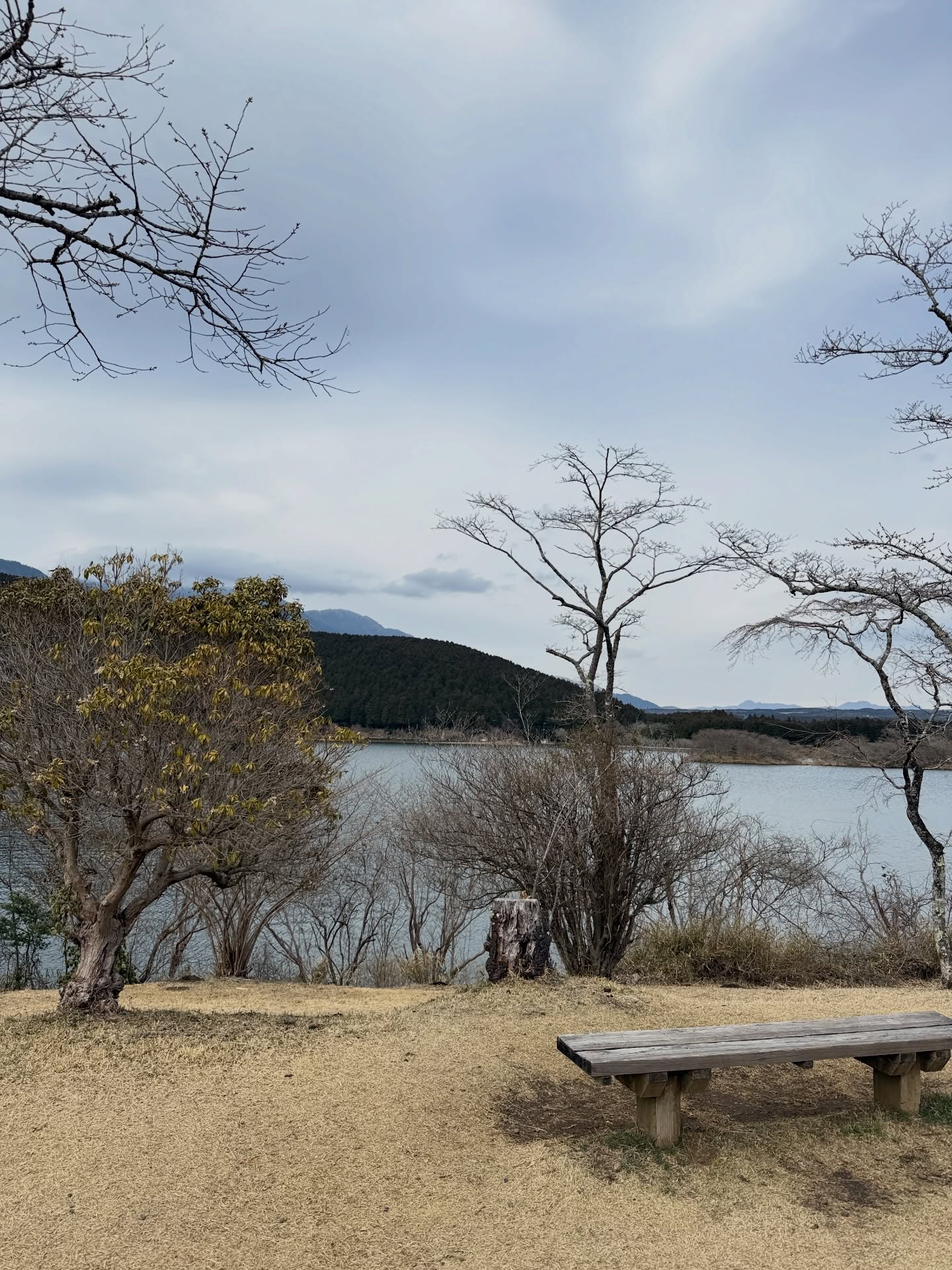 ฟิล์ม - รชานันท์ มหาวรรณ์