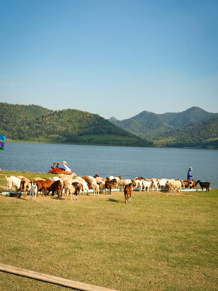 เฟริสท์ - ฉลองรัฐ นอบสำโรง