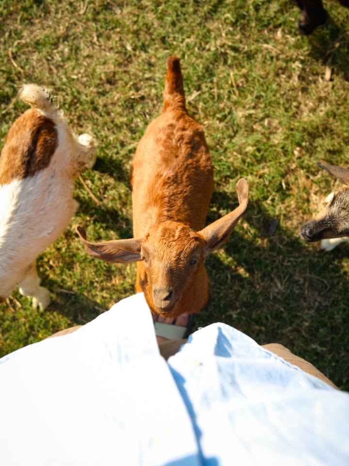 เฟริสท์ - ฉลองรัฐ นอบสำโรง