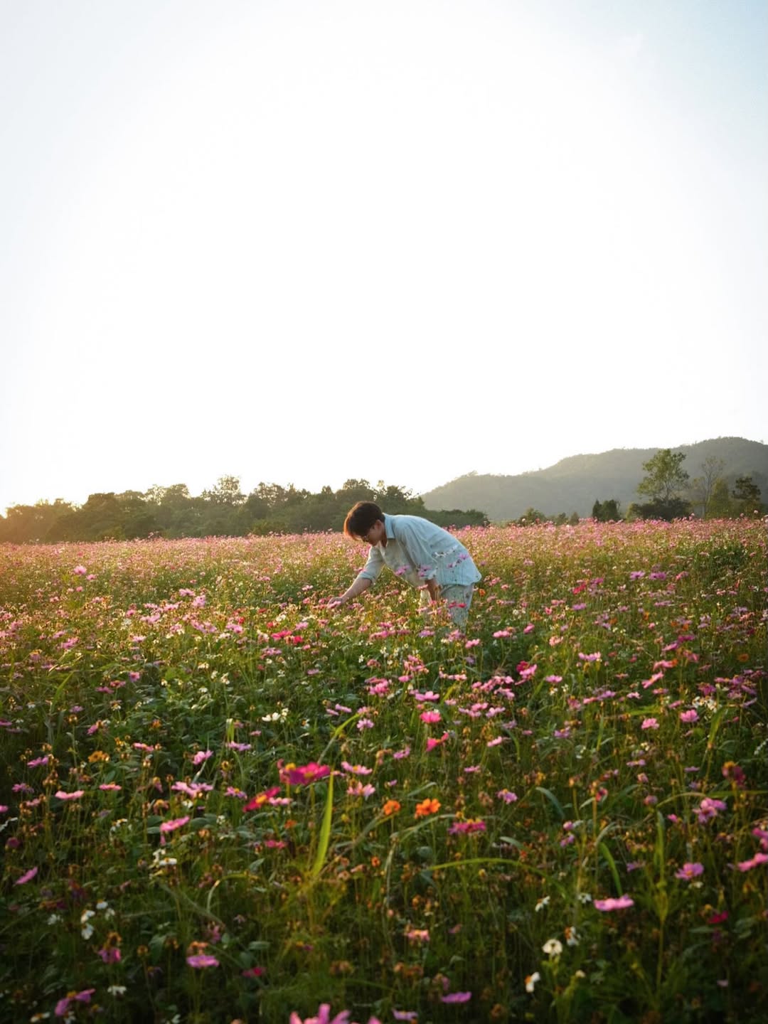 เฟริสท์ - ฉลองรัฐ นอบสำโรง