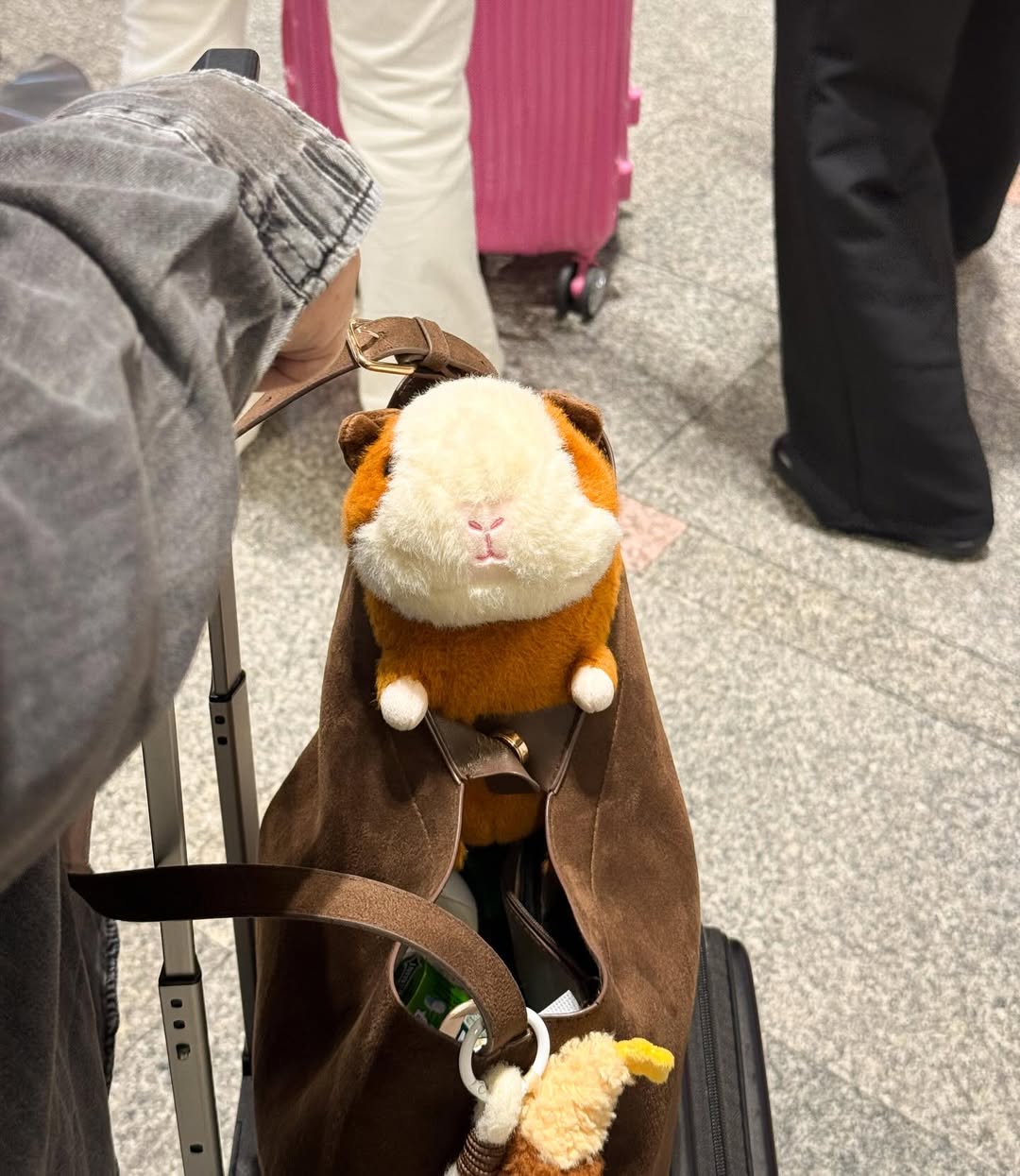 เฟริสท์ - ฉลองรัฐ นอบสำโรง