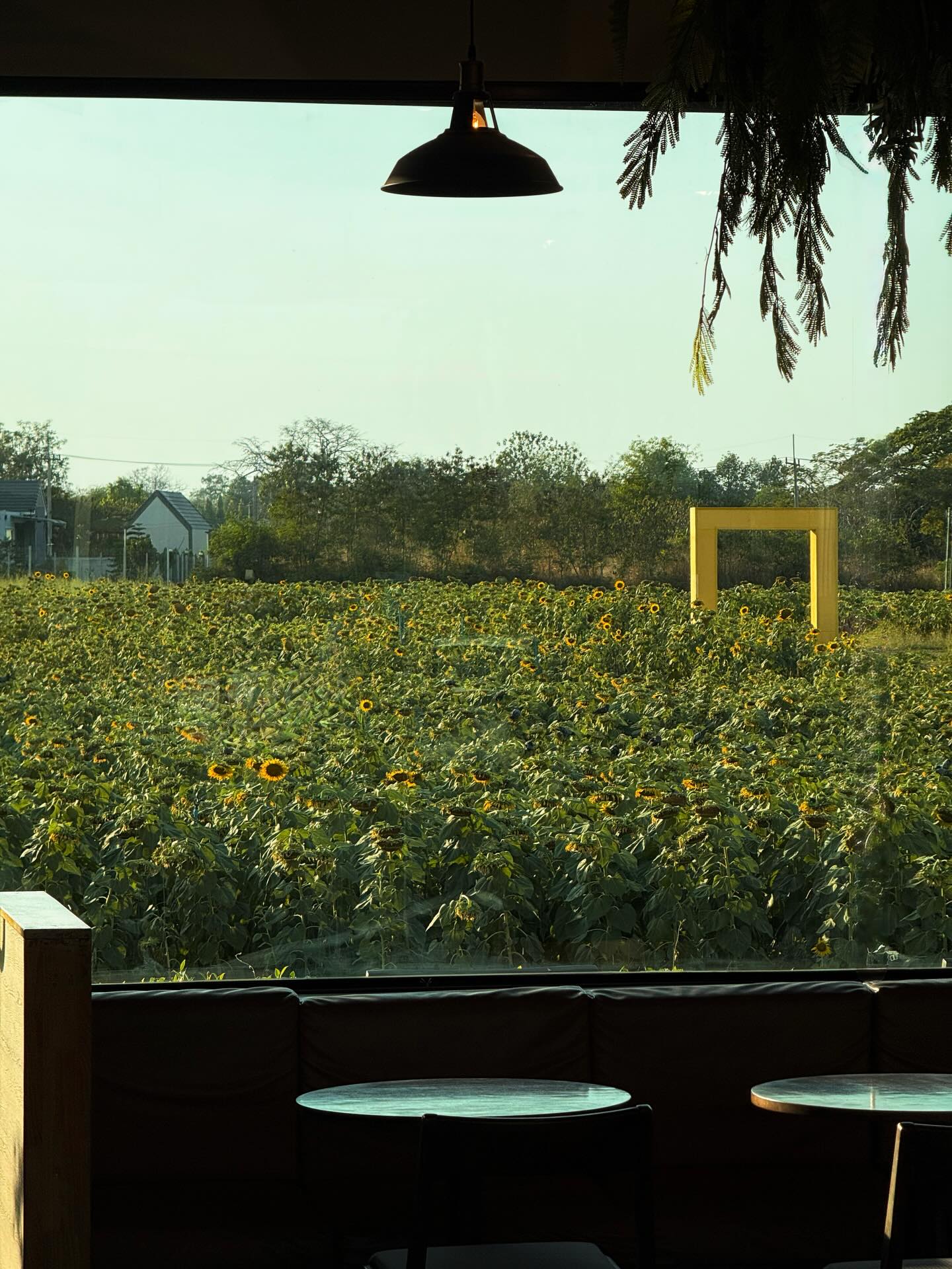 เฟริสท์ - ฉลองรัฐ นอบสำโรง